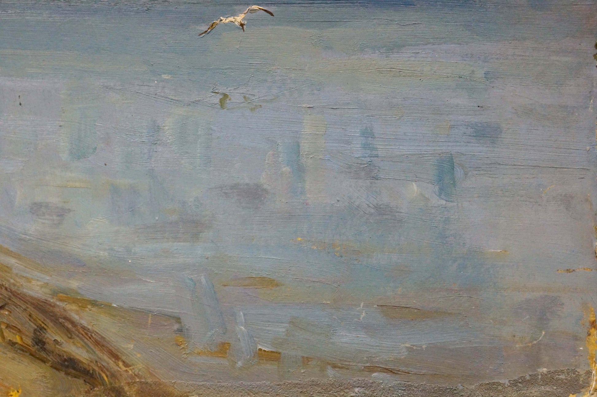Impressionistic seagull in flight over muted coast by Petrov Georgy Petrovich