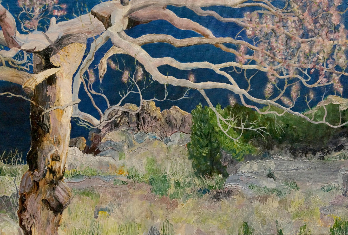Oil painting of blooming tree with pink blossoms on pale bark against blue sky