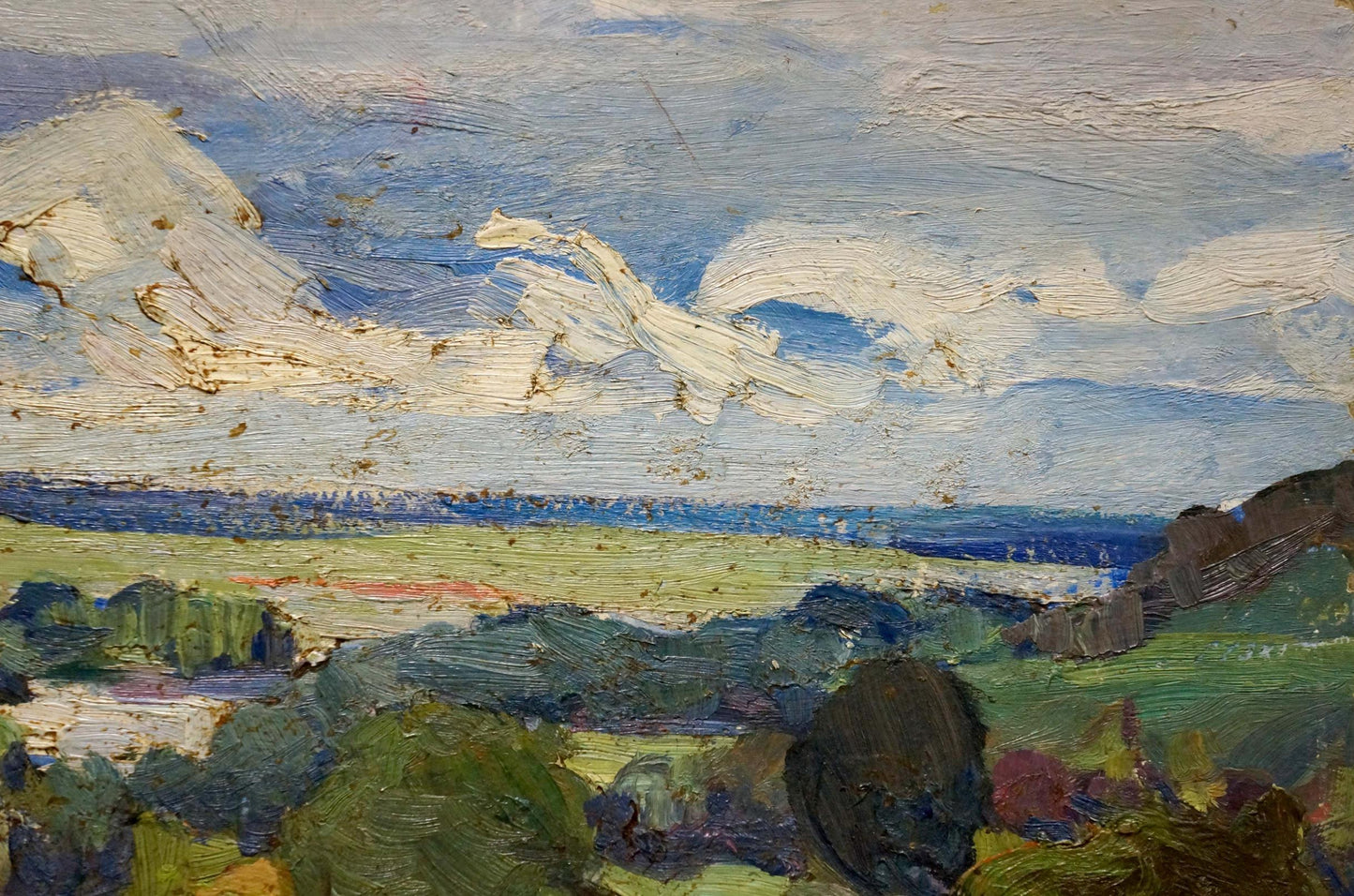 Oil painting Its a nasty day by Gantman Moisey Faibovich: blue clouds over green fields