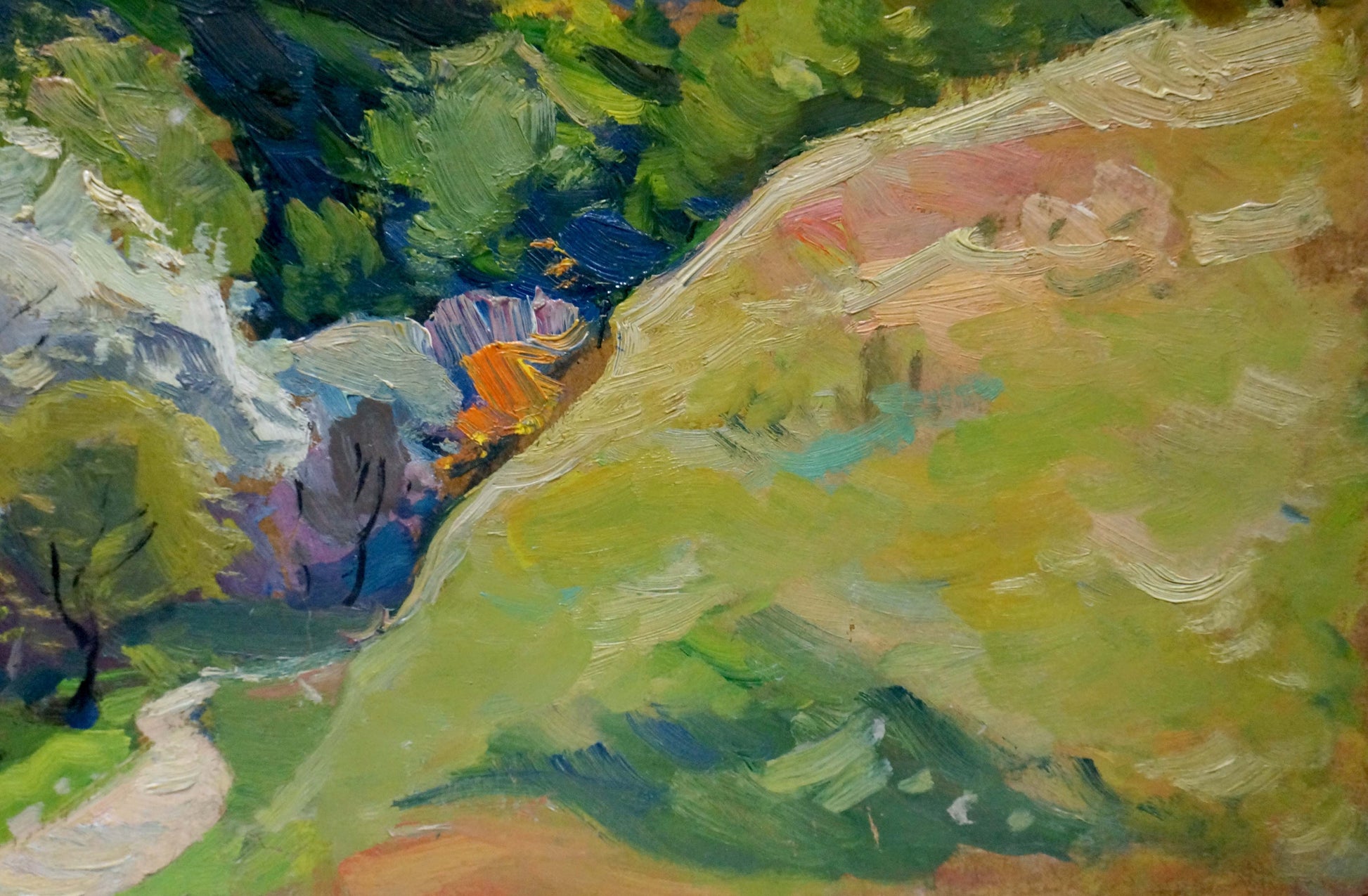 Vibrant impressionist oil painting by Buryachok Nikolay Ivanovich of sunlit hillside