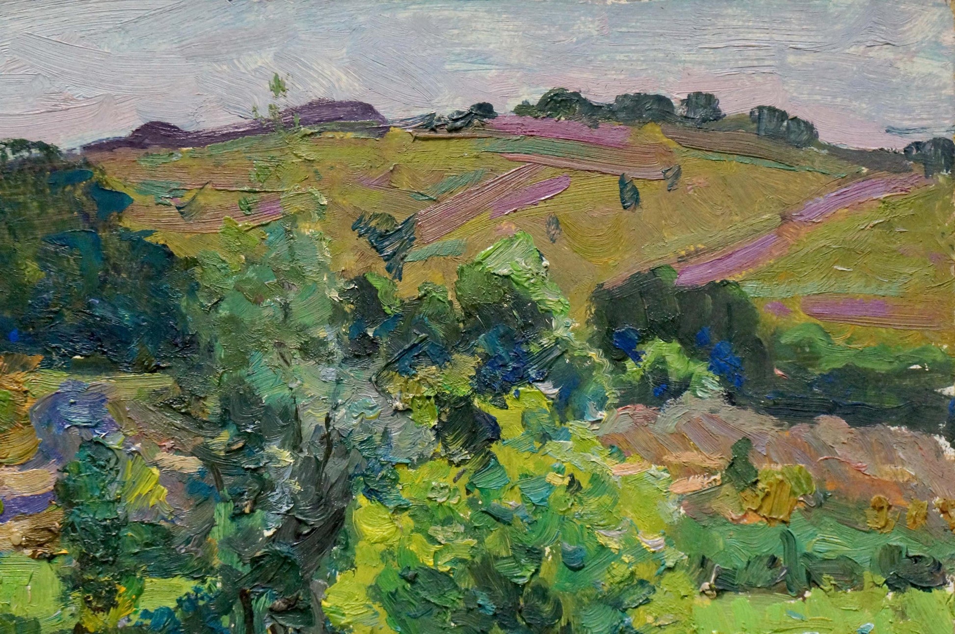 Vibrant impressionist oil painting by Stepan Filippovich Golub of green hills, purple flowers, trees, textured sky