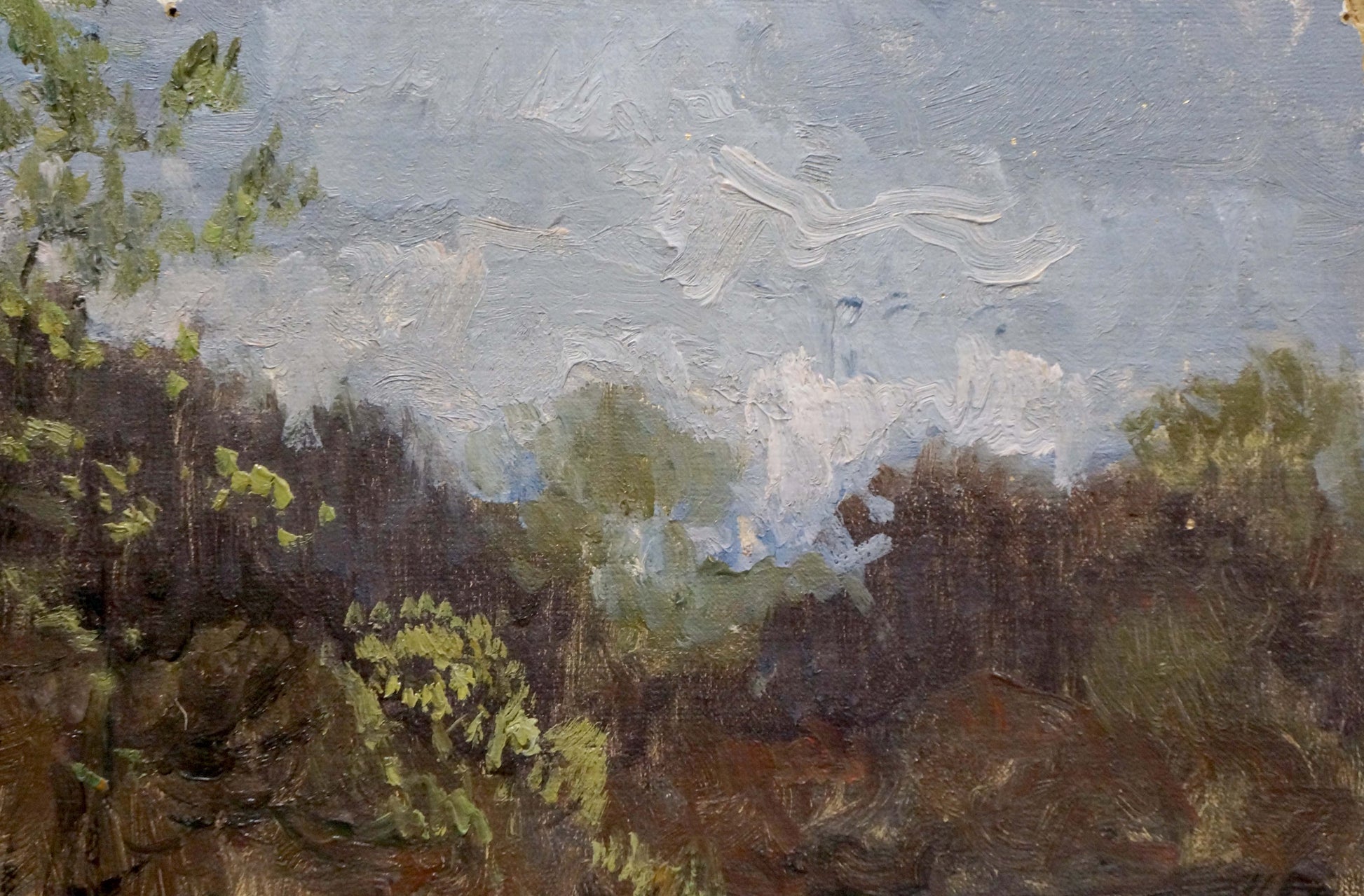 Oil painting After the Rain by Korzh Vladimir Demyanovich, lush green foliage, cloudy sky