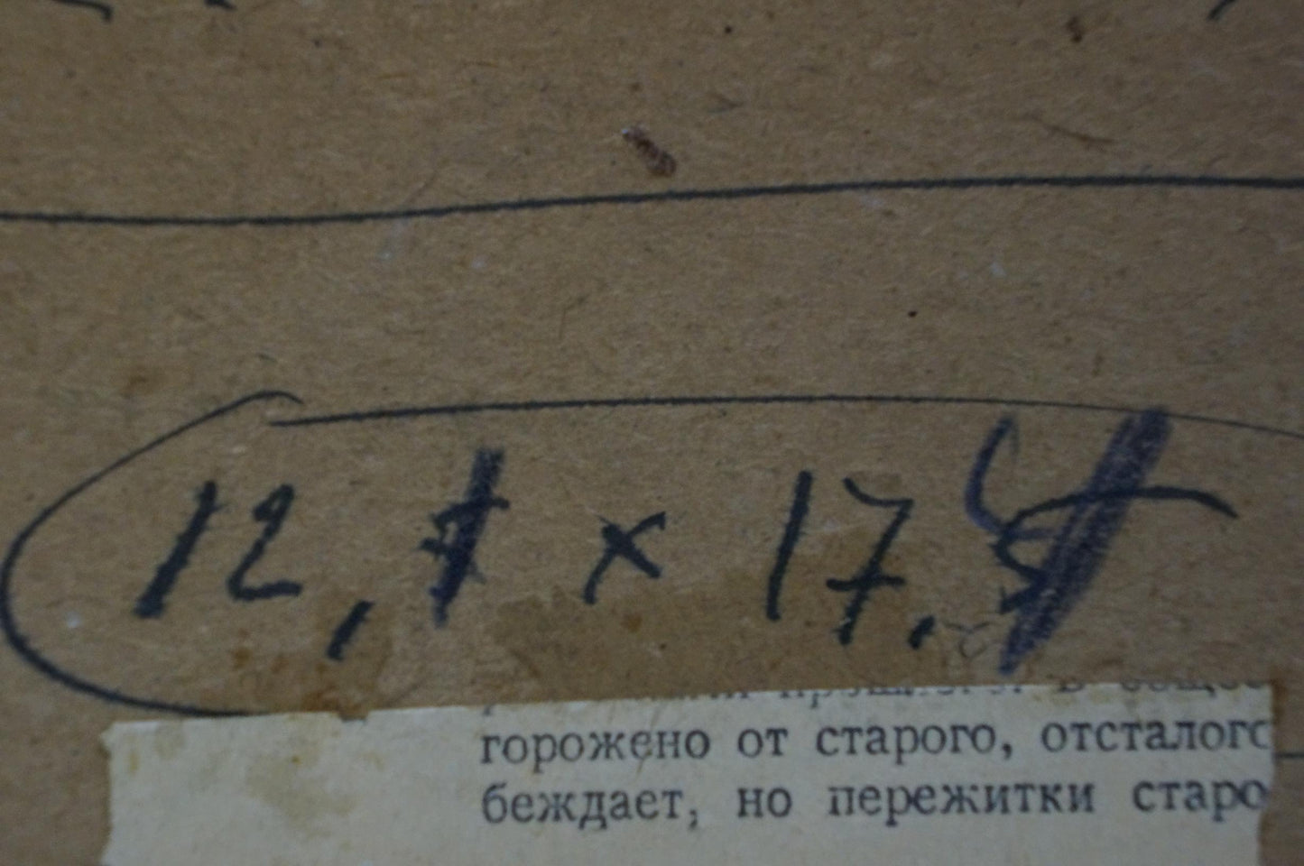 Handwritten measurements on back of Autumn Kryzhevsky oil painting