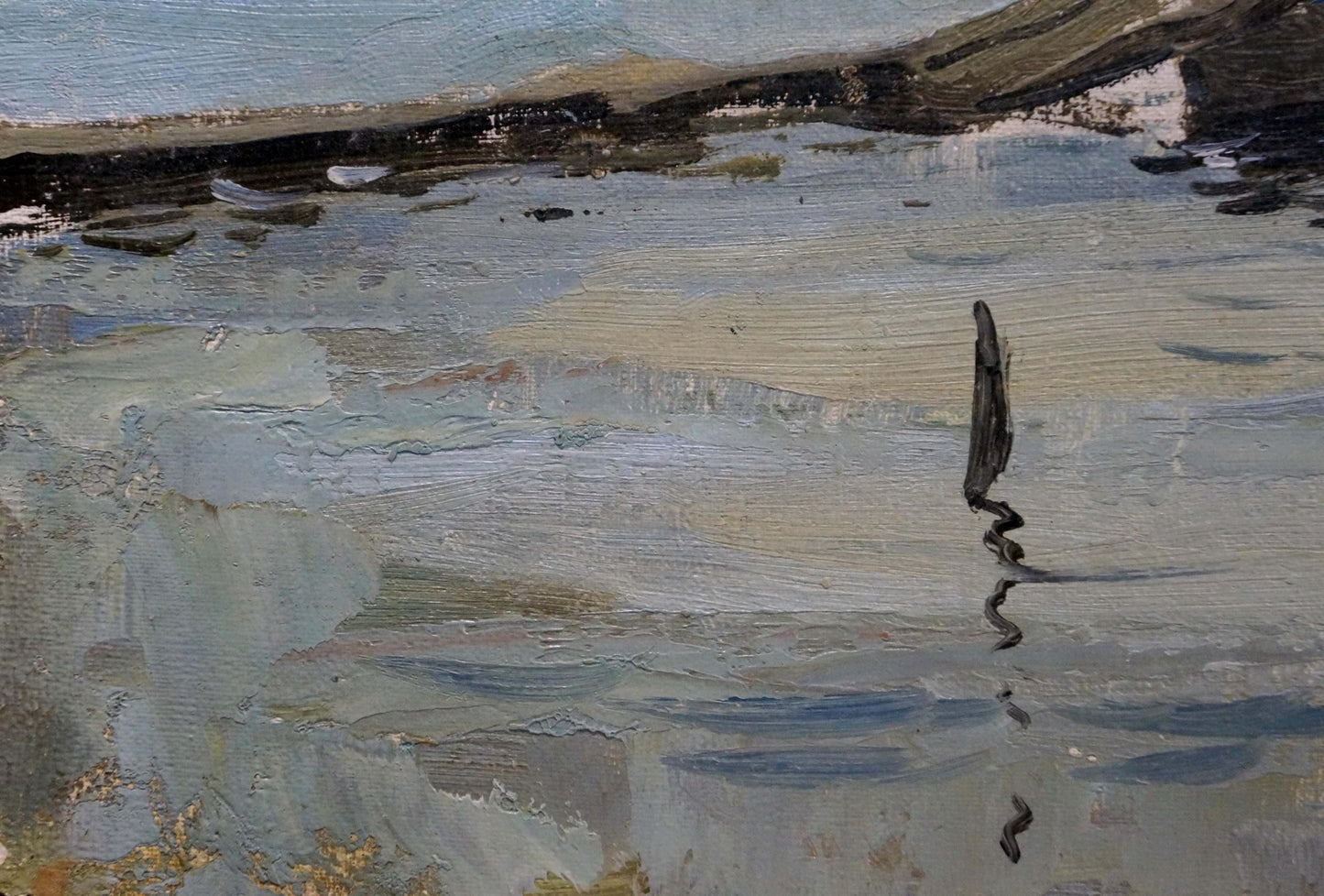 Oil painting of dark twisted driftwood in reflective pool by Puzyrkov Viktor Grigorievich