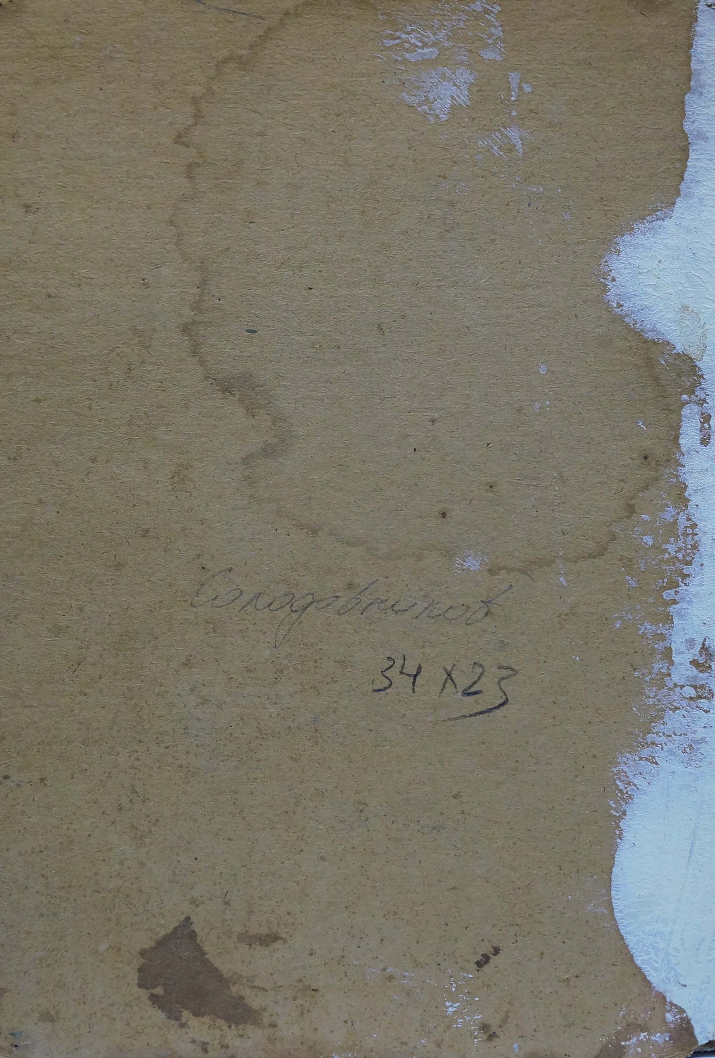 Back of beige textured canvas by Solodovnikov Aleksey Pavlovich