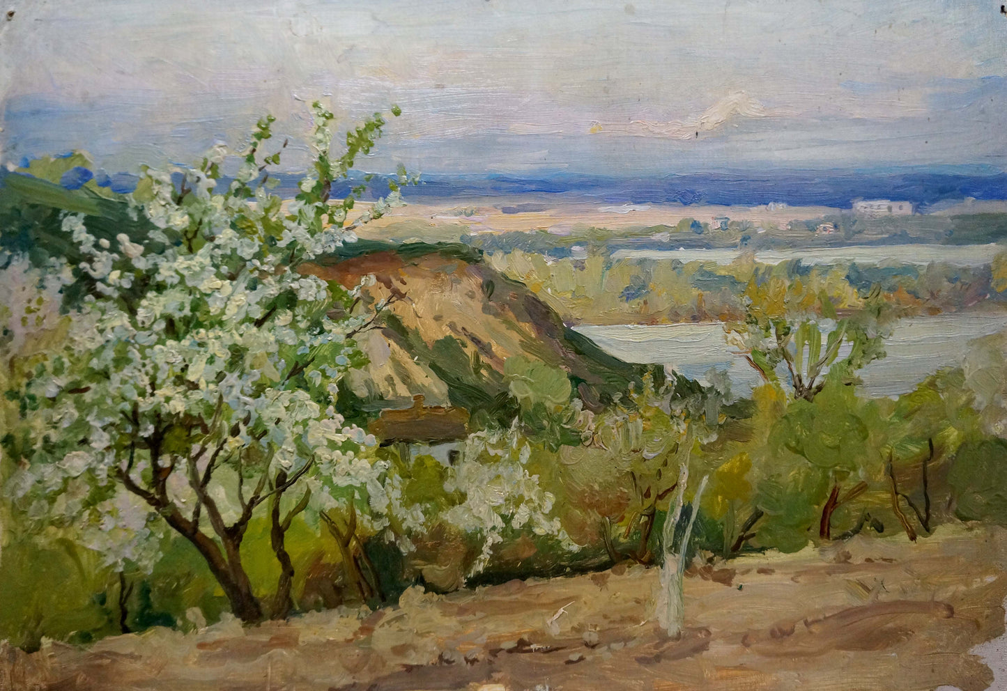 Oil painting Spring day by Ivan Makarovich Gonchar: blossoming white tree