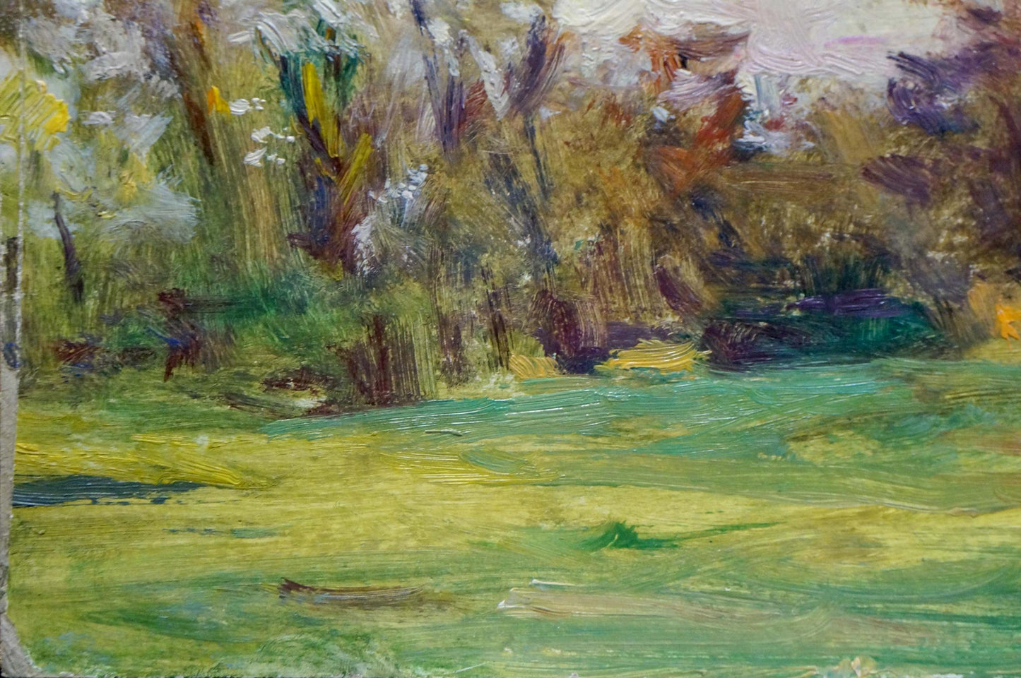 Vibrant impressionist oil painting by Puzyrkov Viktor Grigorievich of lush green field