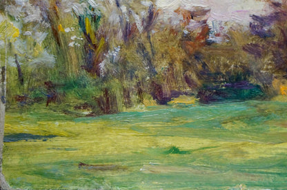 Vibrant impressionist oil painting by Puzyrkov Viktor Grigorievich of lush green field