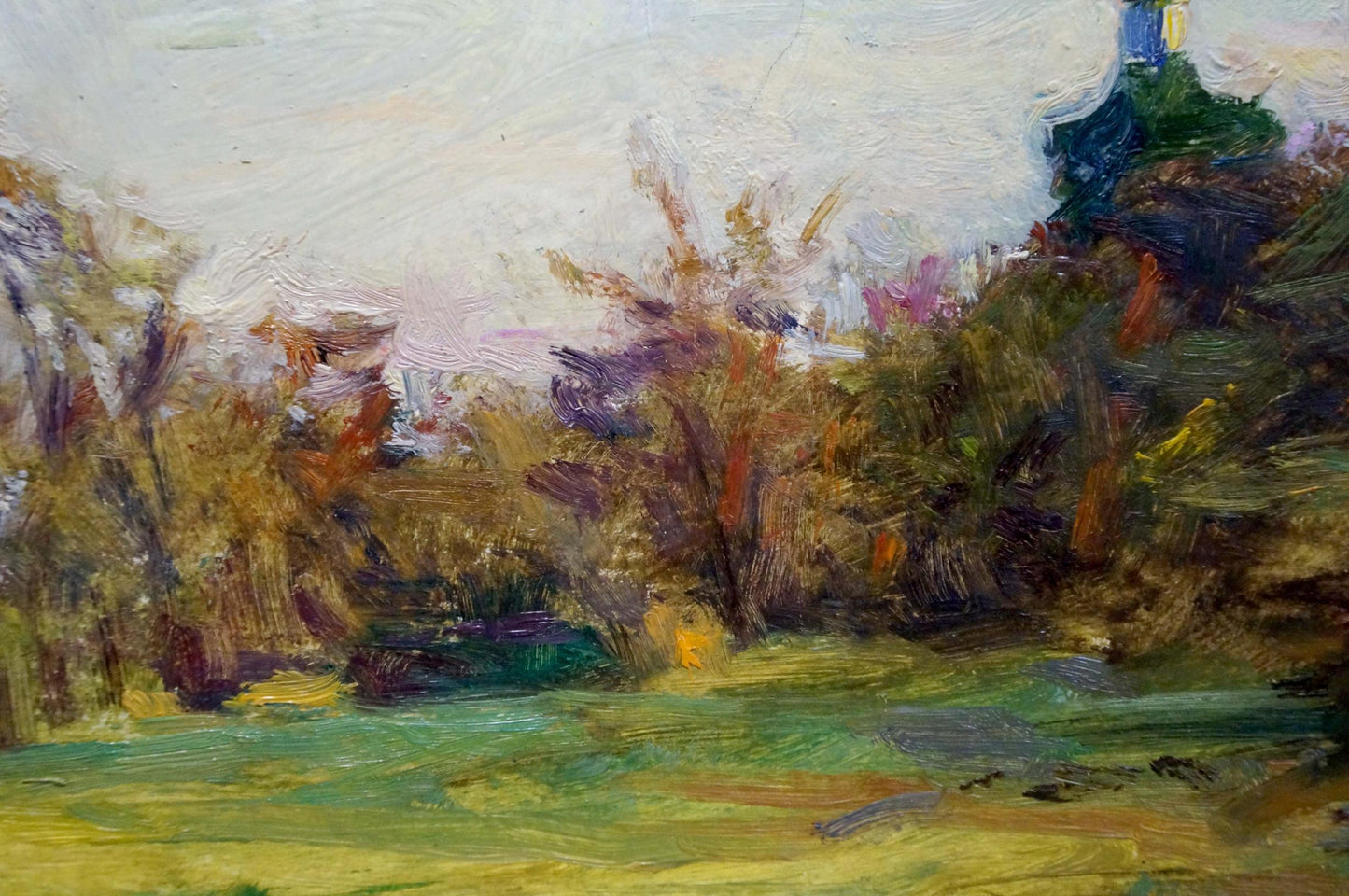 Impressionistic oil landscape by Puzyrkov Viktor Grigorievich