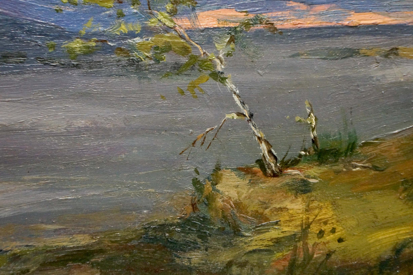 Oil painting of slender birch tree on sunlit shore by calm waters