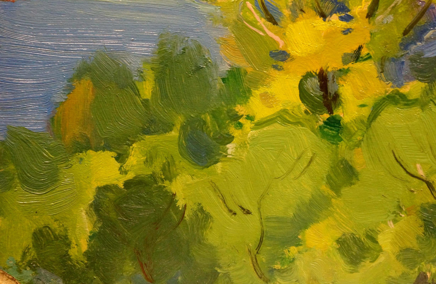 Vibrant impressionist summer landscape oil painting by Buryachok Nikolay Ivanovich