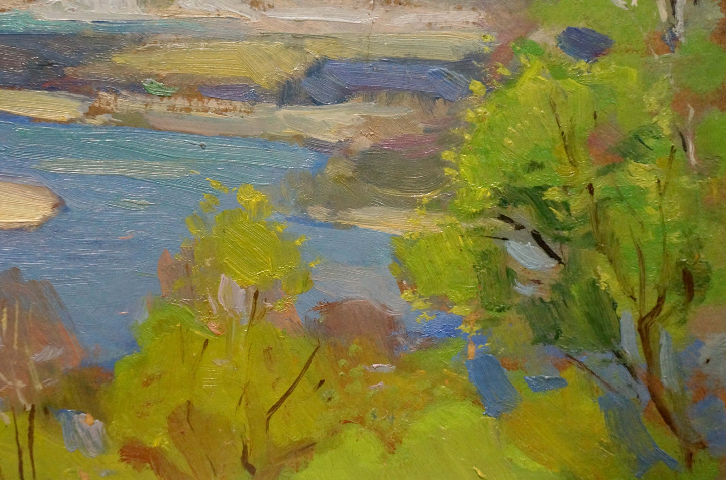 Vibrant green yellow trees frame serene blue River Spill in field by Nikolay Buryachok oil painting