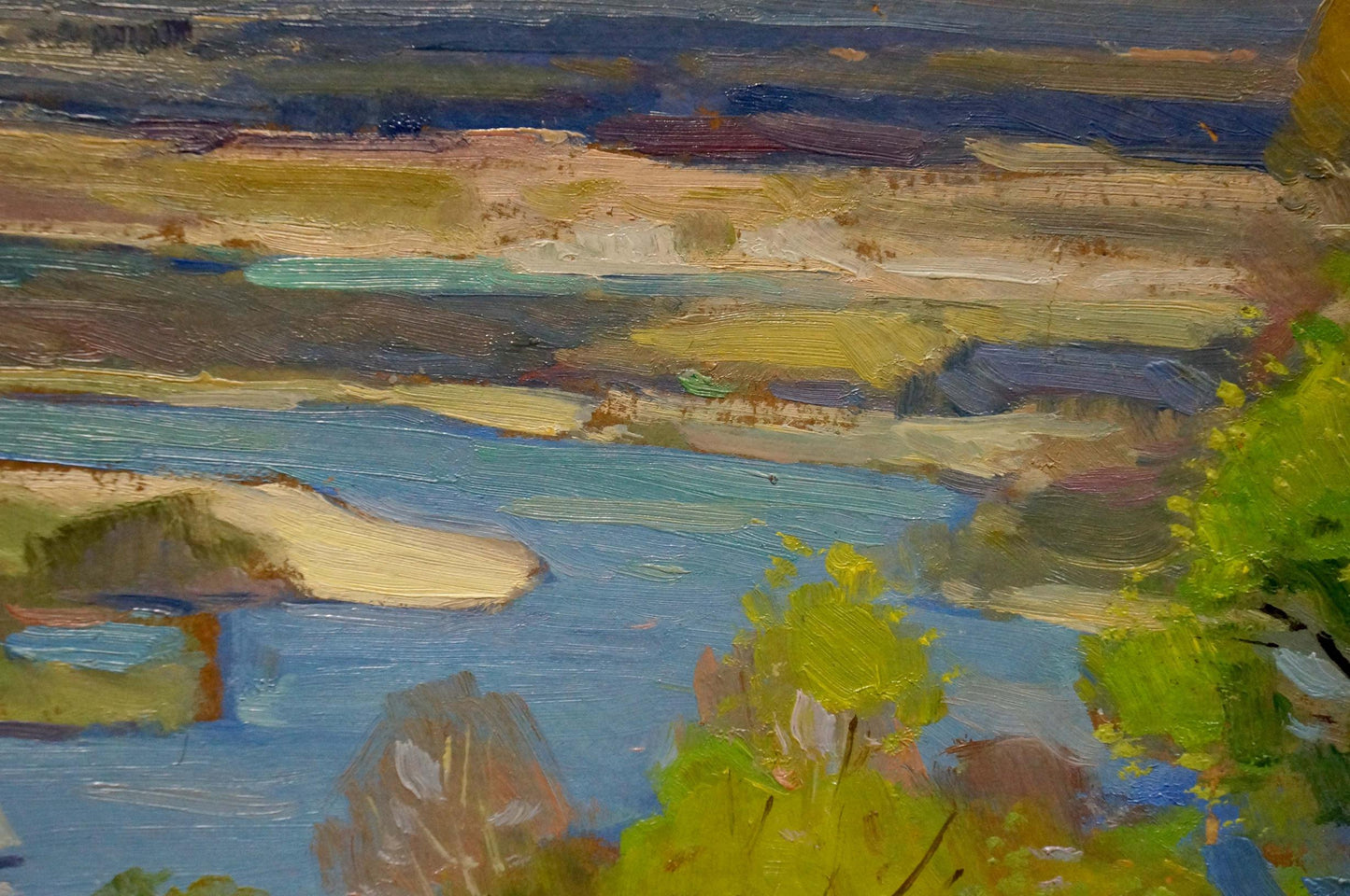 Vibrant impressionistic oil painting River spill in a field by Nikolay Buryachok