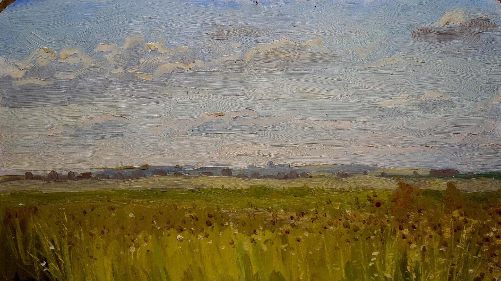 Oil painting landscape: golden wildflower field under cloudy sky