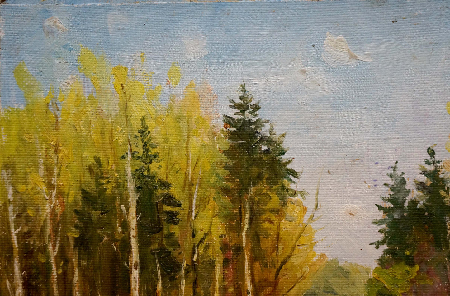Oil painting of birch forest landscape by Petr Chernyshevsky