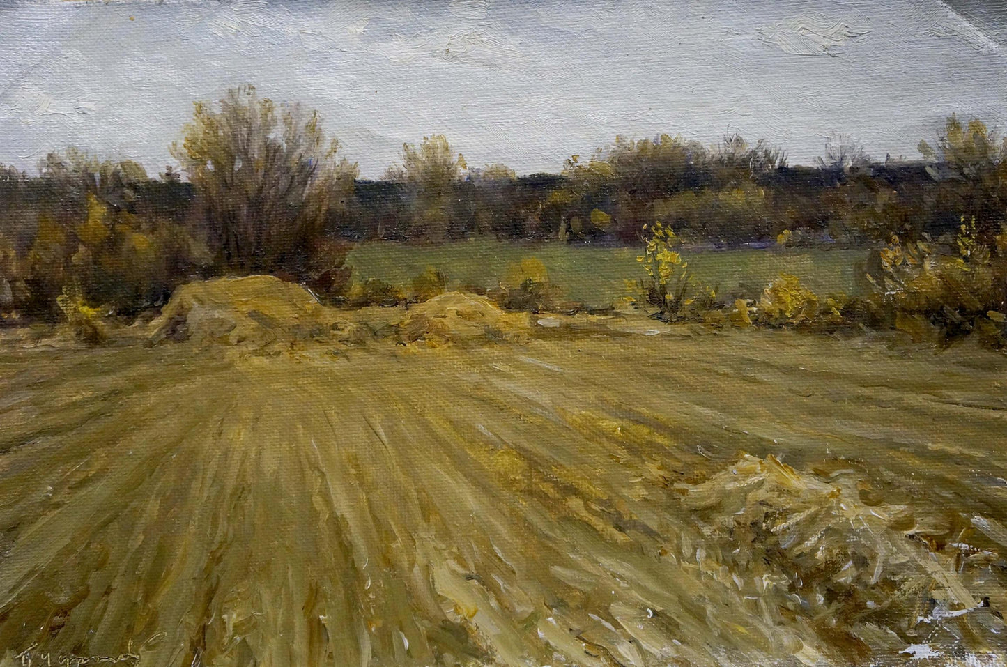 Textured oil painting of rural landscape by Petr Akimovich Chernyshevsky Field