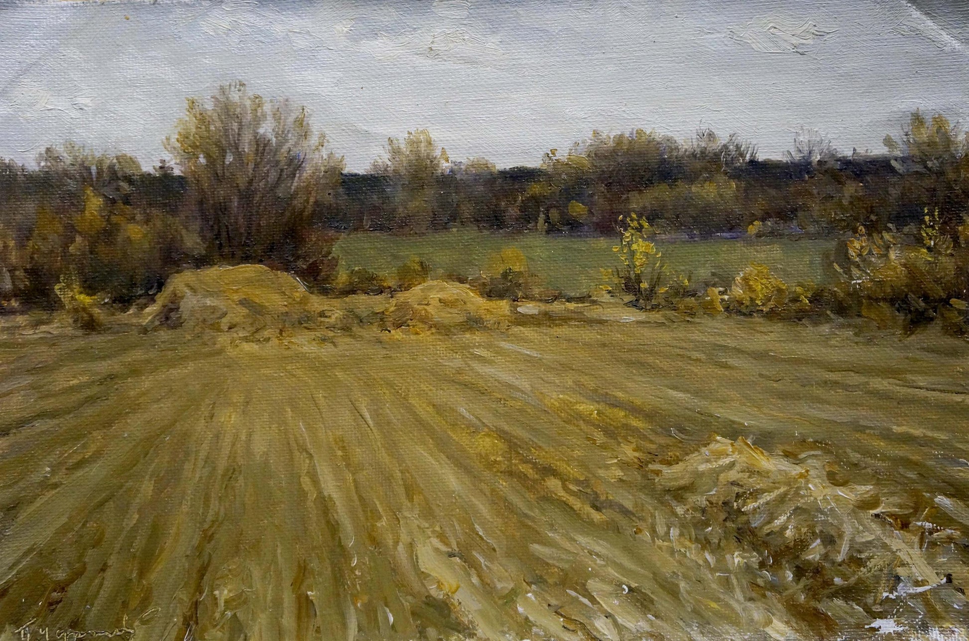 Textured oil painting of rural landscape by Petr Akimovich Chernyshevsky Field