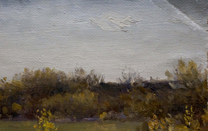 Oil painting Field by Chernyshevsky Petr Akimovich muted landscape