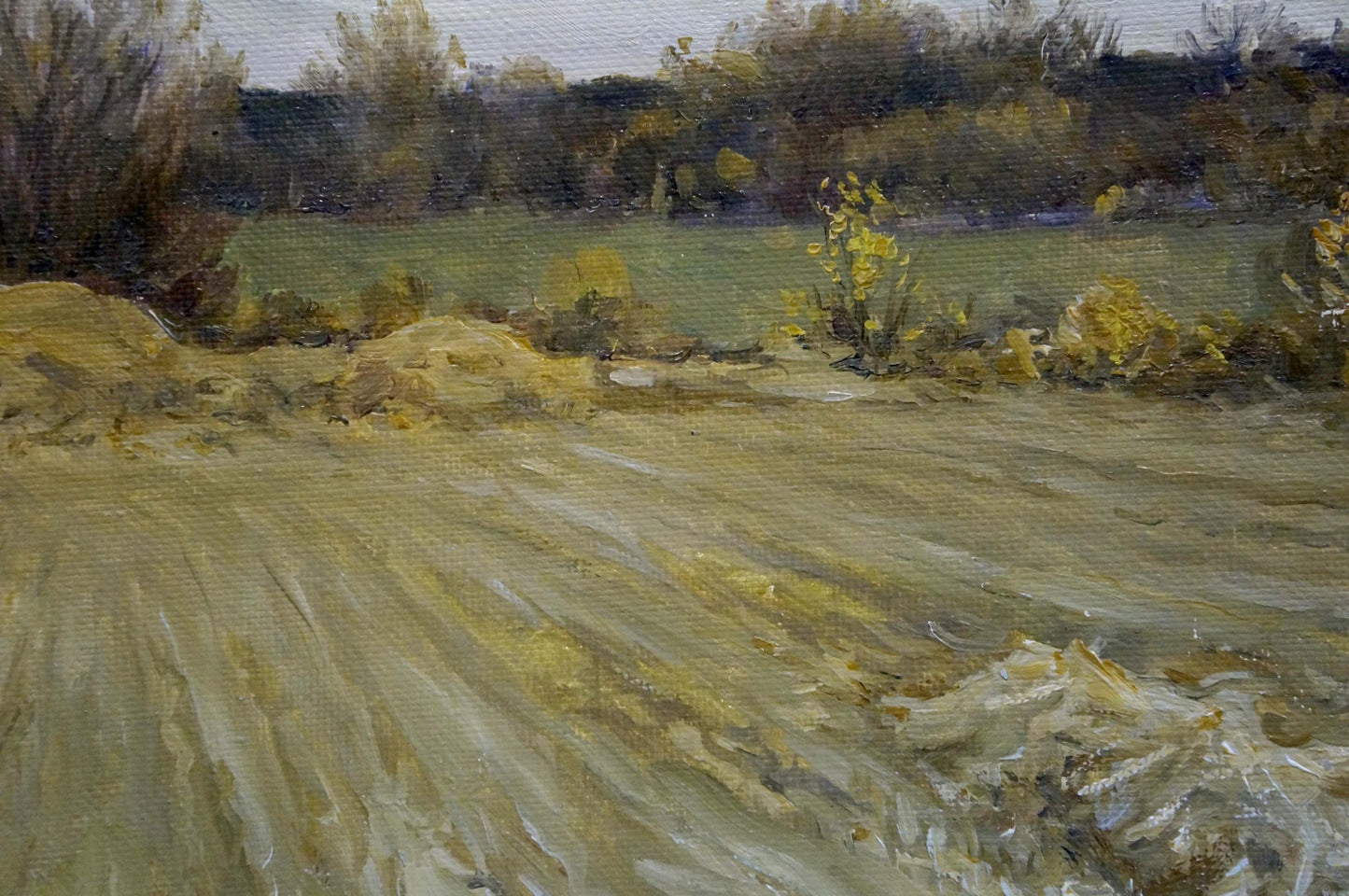 Textured impressionistic oil painting of rural landscape by Petr Akimovich Chernyshevsky