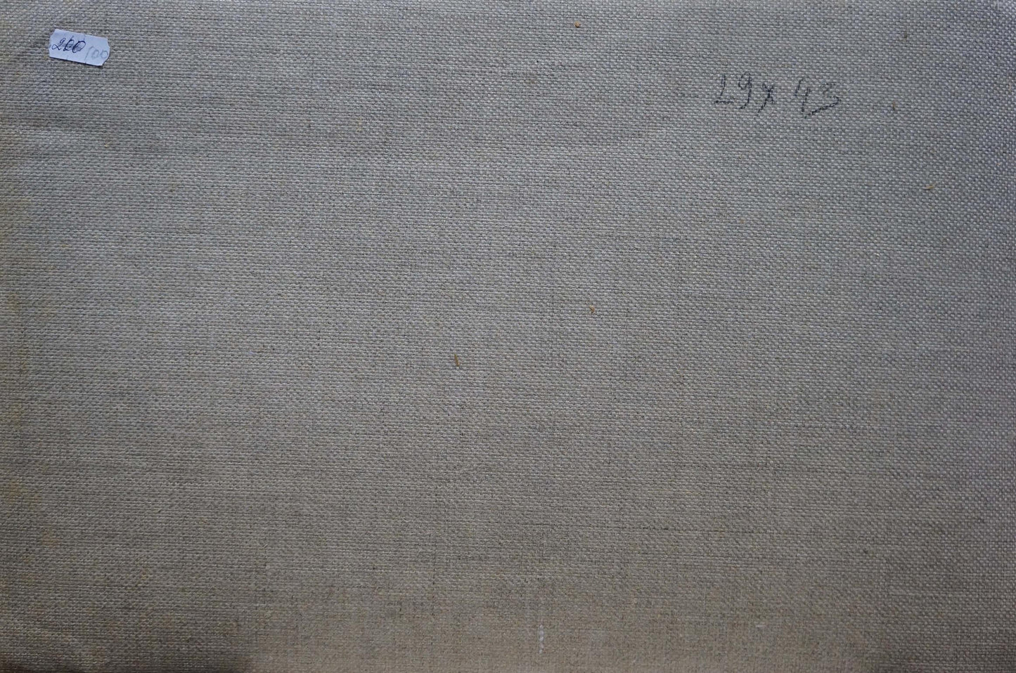 Textured neutral-toned canvas back of Oil painting Field Chernyshevsky Petr Akimovich