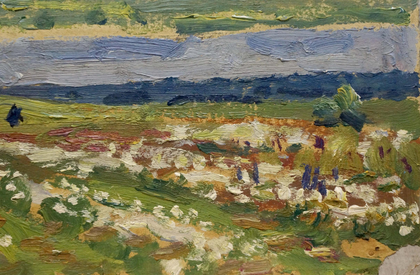 Textured impressionist oil painting Before the Rain by Trohimenko Karp Demyanovich, green field with flowers