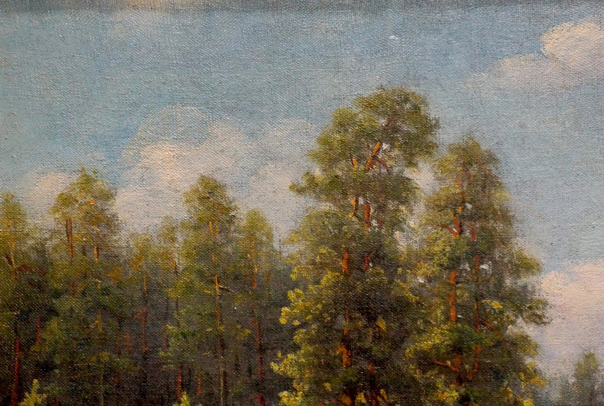 Oil painting Forest edge Tolkachevsky I with tall trees and blue sky