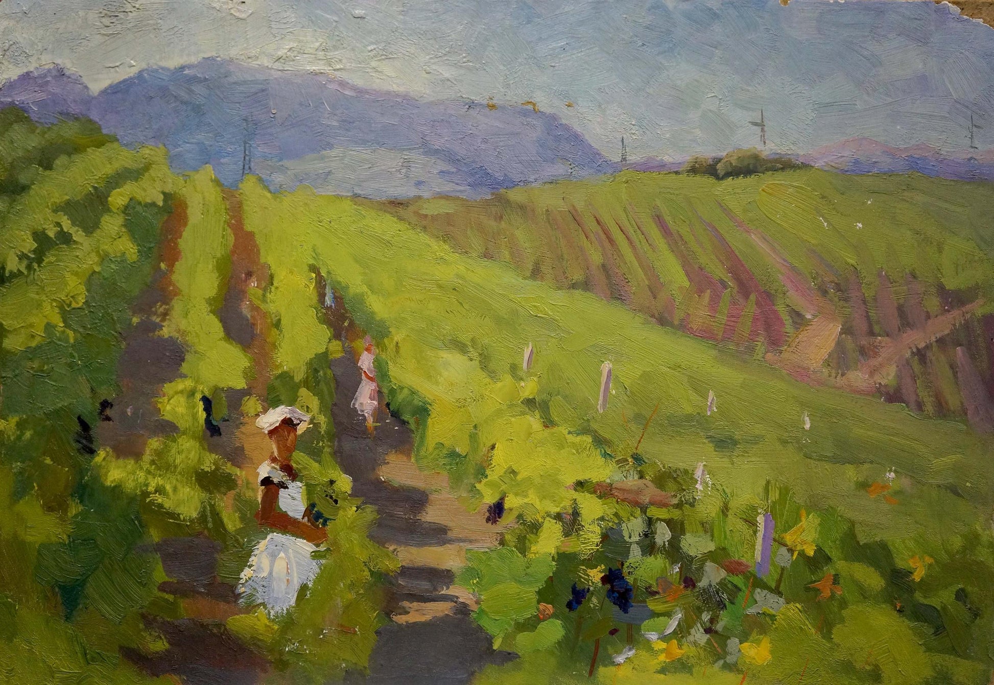 Oil painting Vineyards by Stremsky Alexander Ivanovich