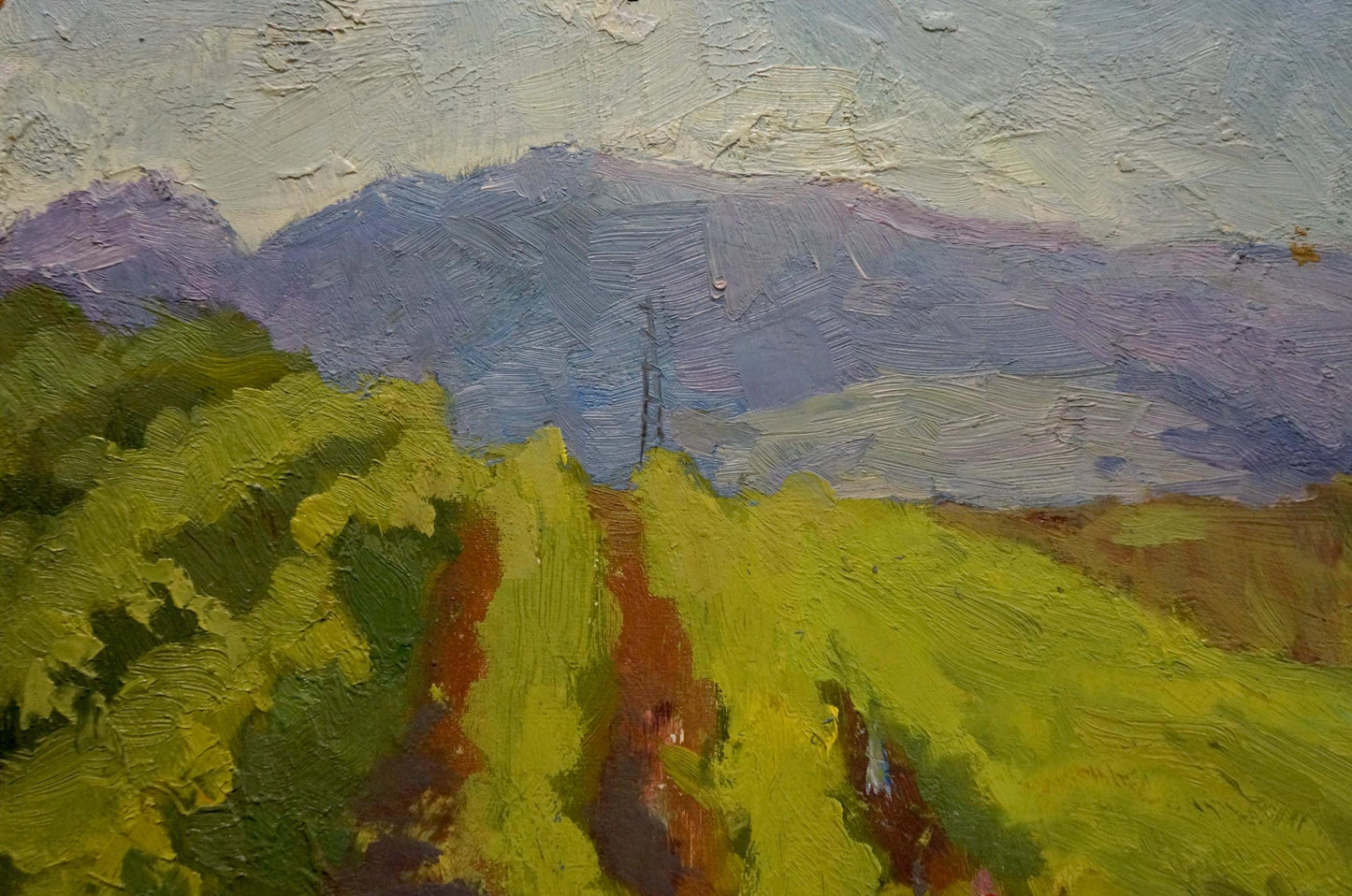 Oil painting Vineyards by Stremsky Alexander Ivanovich: green vineyard, purple mountains