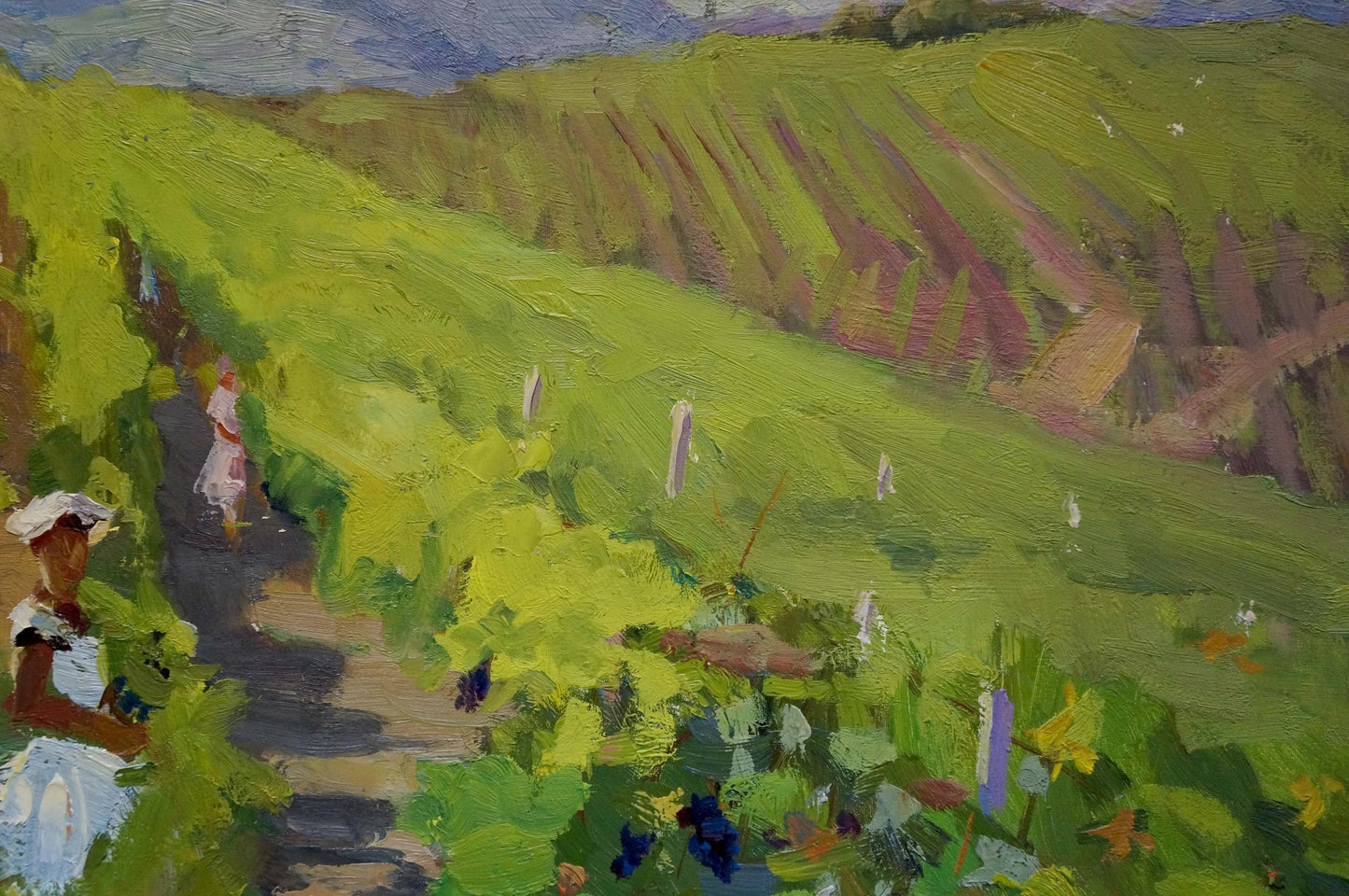 Vibrant impressionist oil painting of sunlit vineyard by Stremsky Alexander Ivanovich