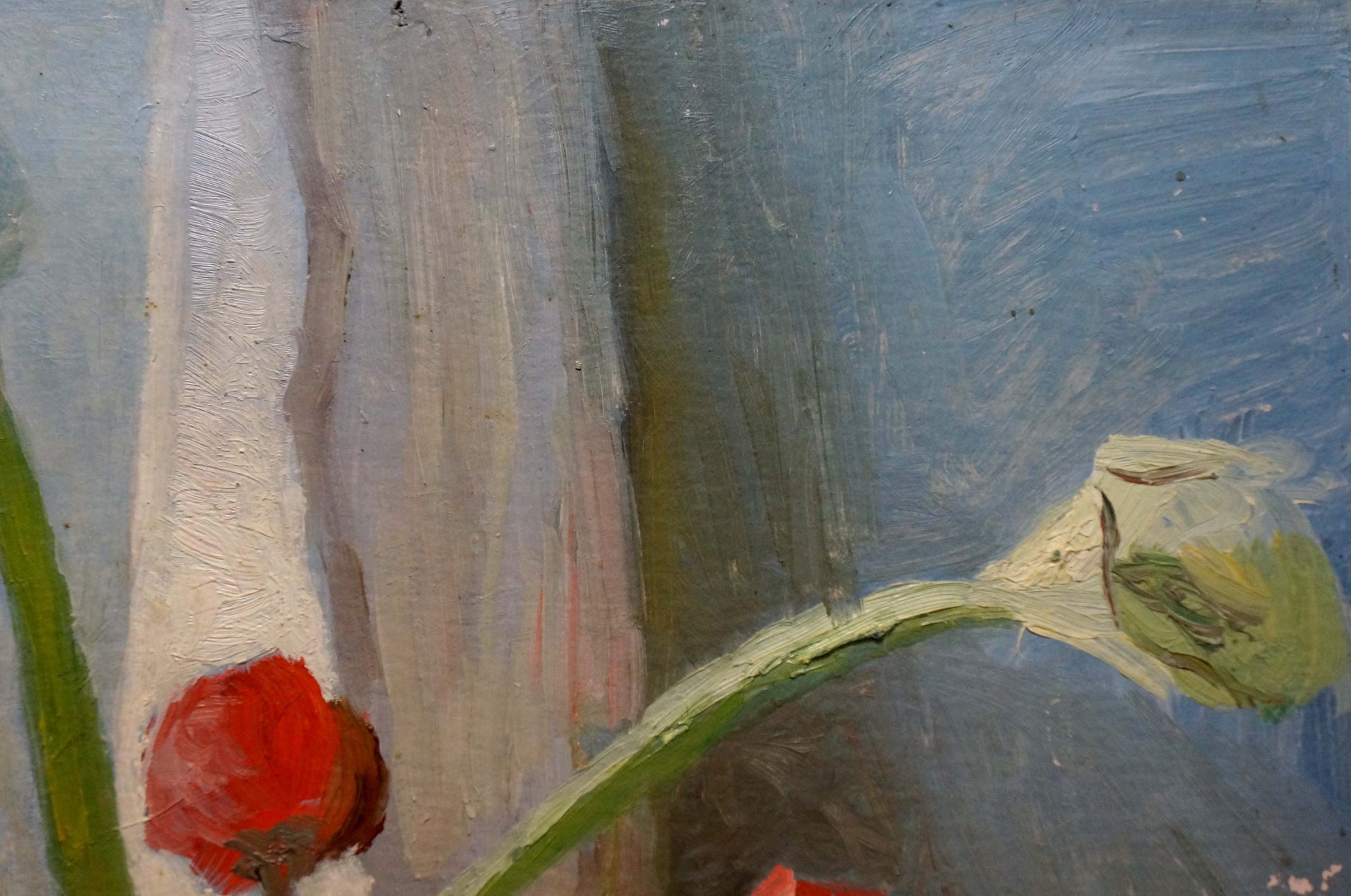 Vibrant red poppy bud oil painting Flowers Les on blue background