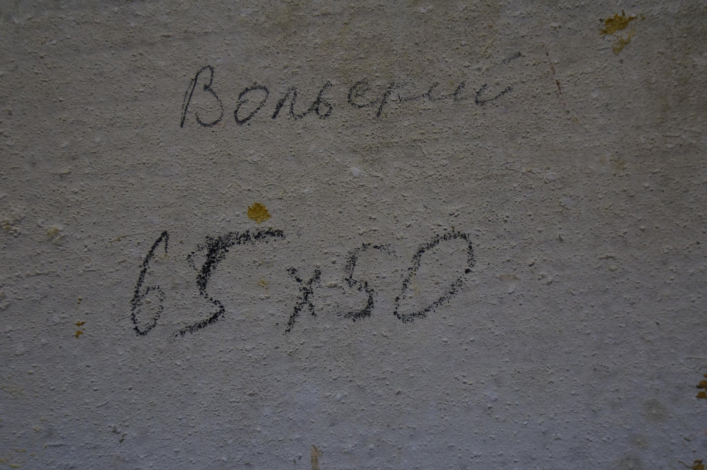 Handwritten Cyrillic text on textured gray concrete wall, Volsky portrait back