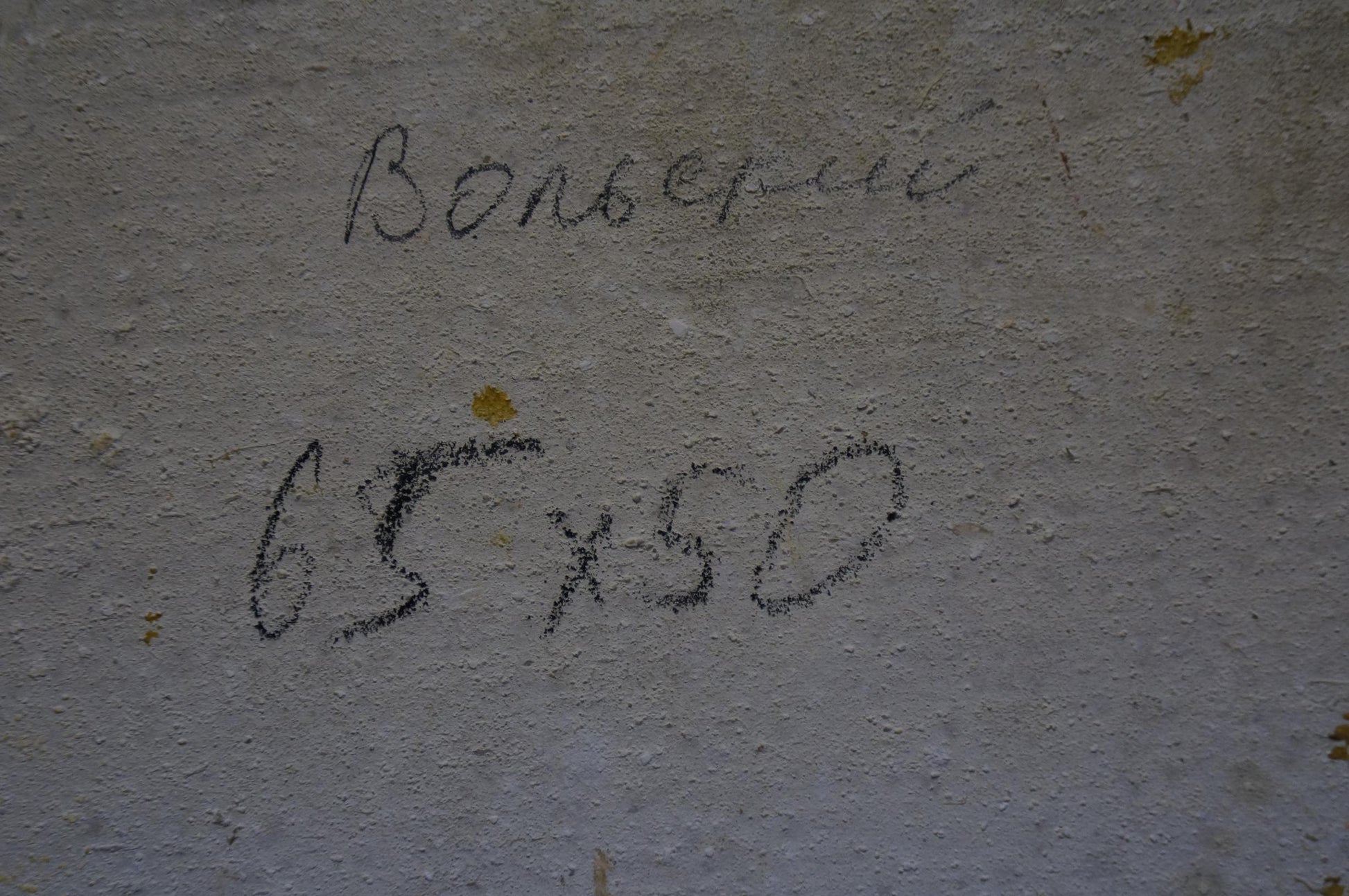 Handwritten Cyrillic text on textured gray concrete wall, Volsky portrait back