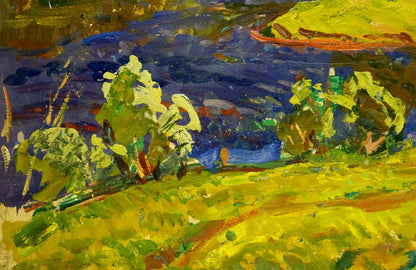 Vibrant impressionist summer landscape oil painting by Gaiduk Viktor Kirillovich