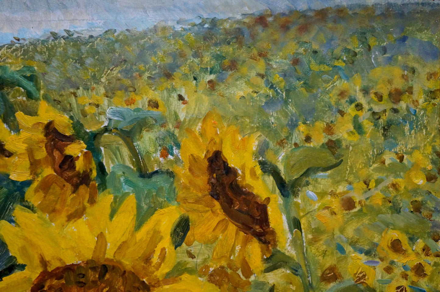 Oil painting of sunflower field by Dziuban Ivan Feodosievich