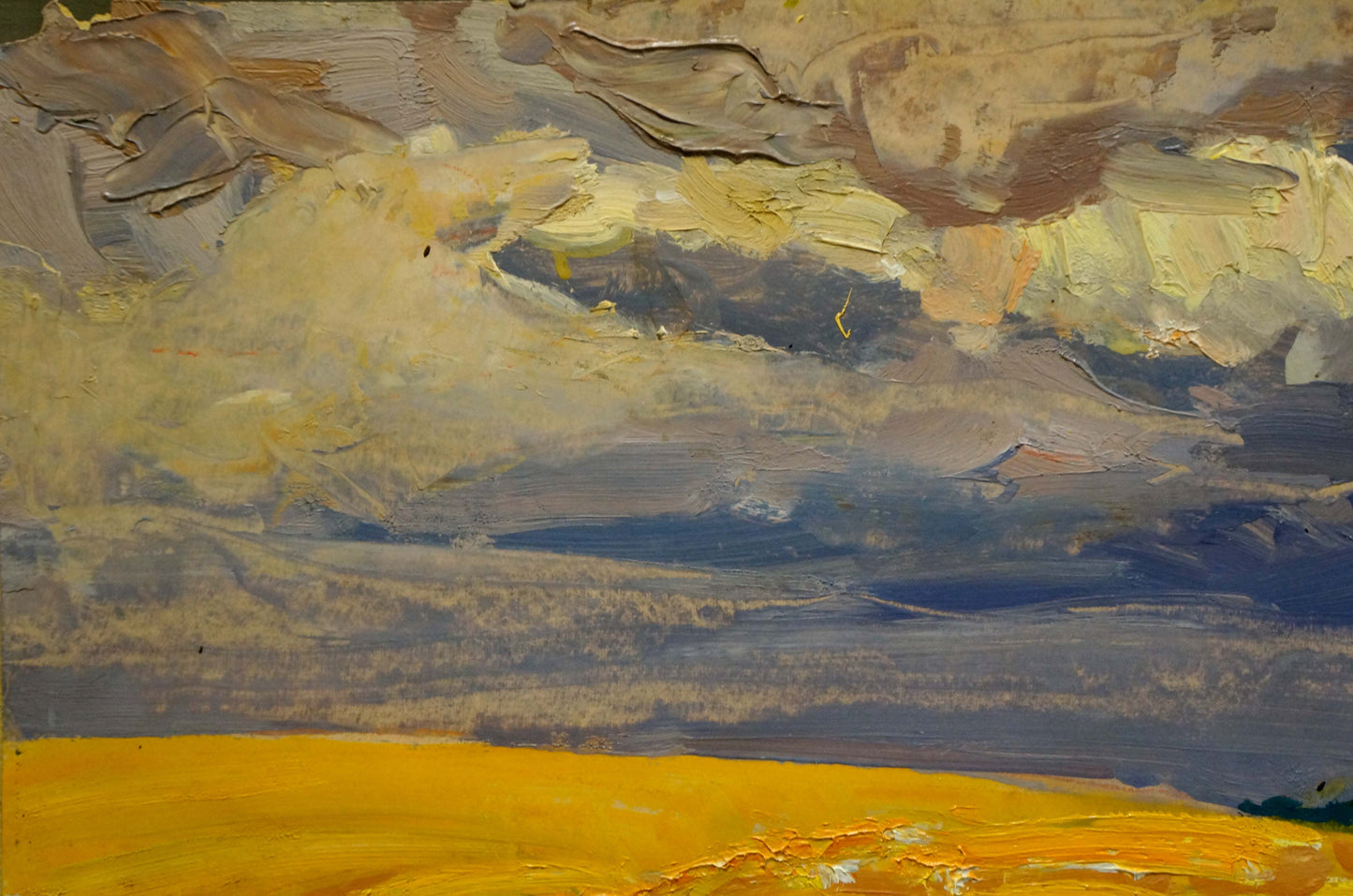 Oil painting Field landscape by Georgy Kolosovsky: dramatic sky over golden field