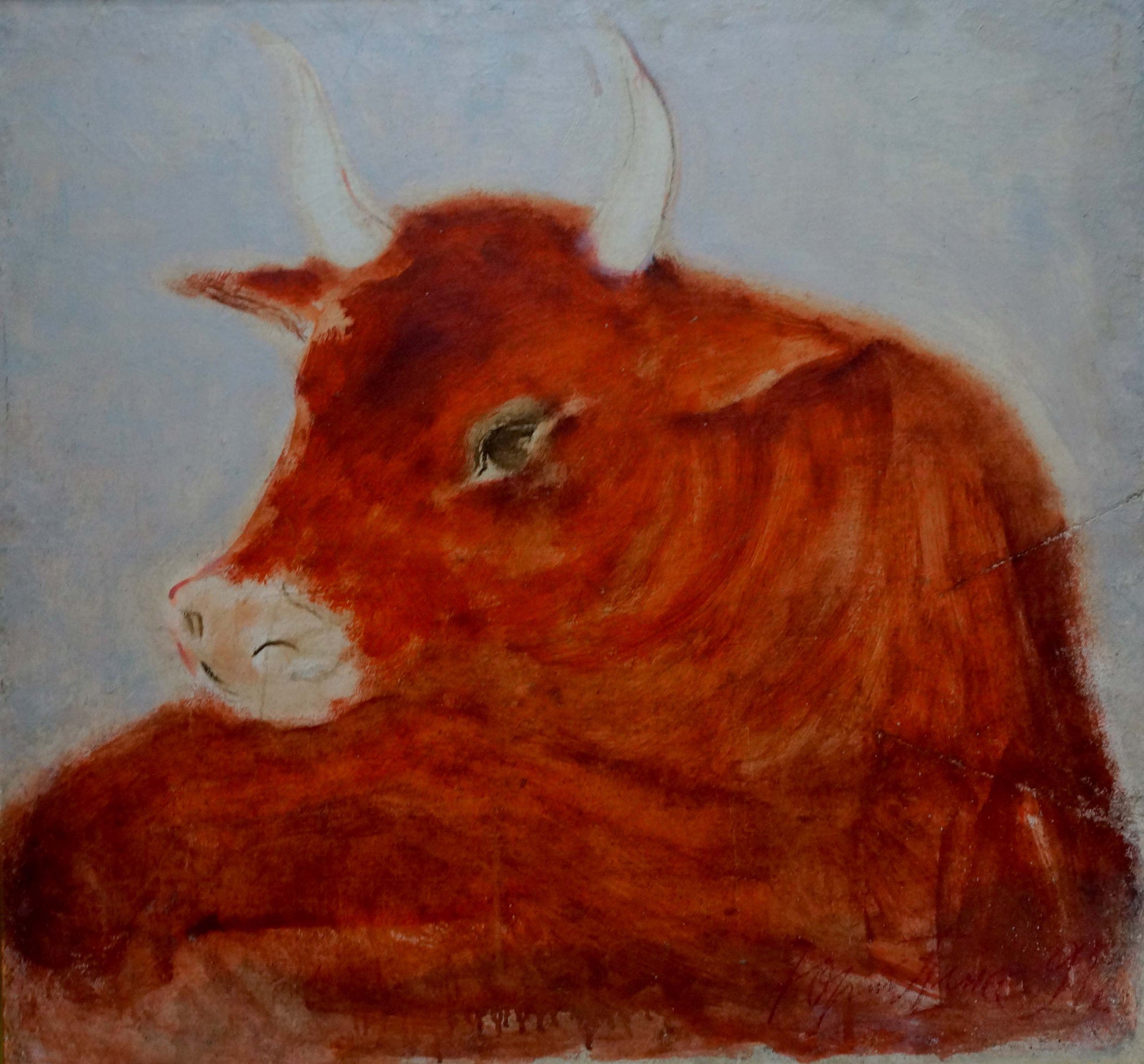 Oil painting of resting bull by Yuri Anatolievich Pliss