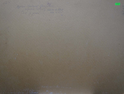 Back of oil painting Fields by Ruban Grigory Savelievich with faint handwritten text