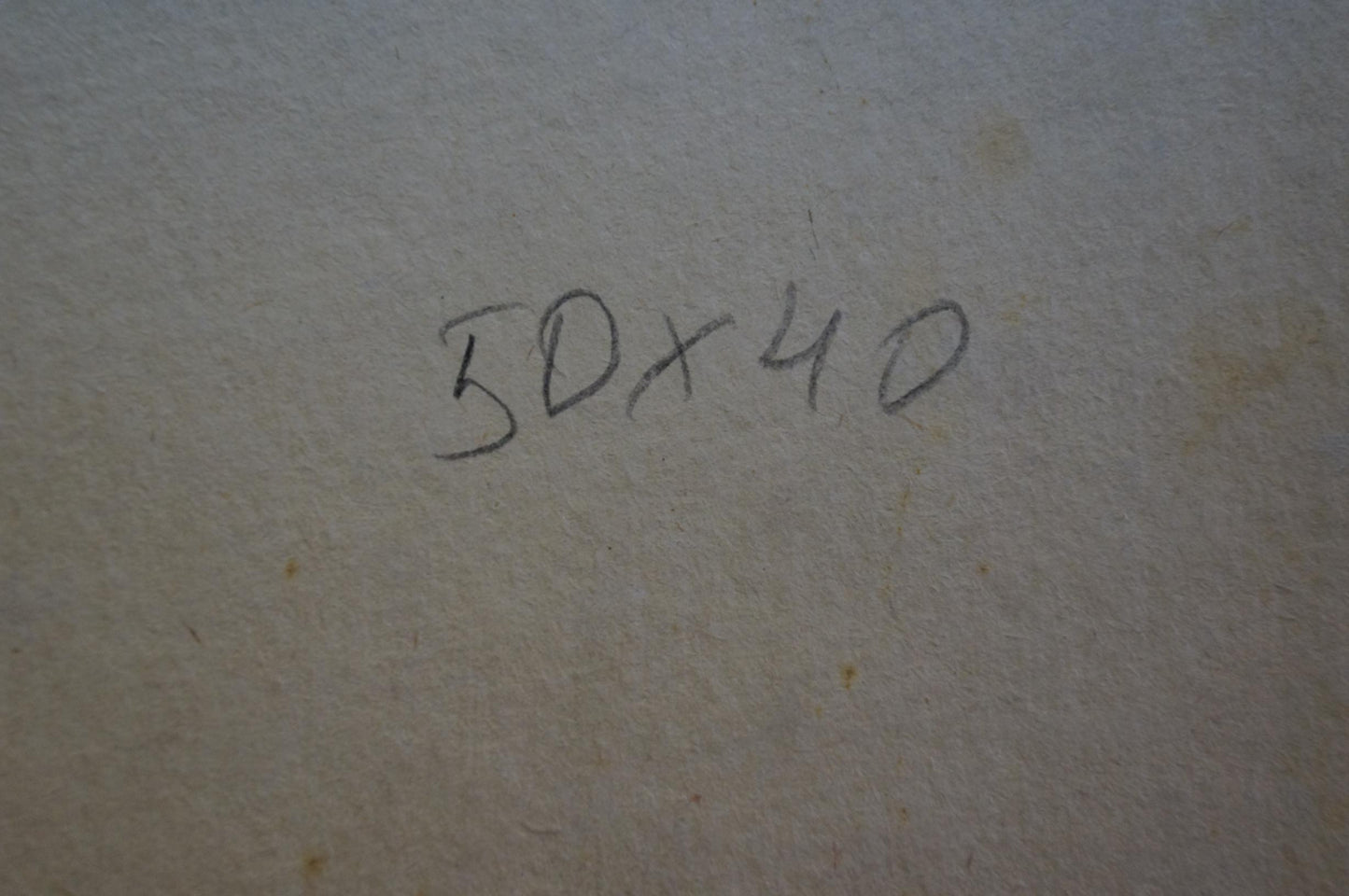 Back of Zhabinsky Leonid Andreevich grandmother portrait: handwritten 30x40 on textured paper
