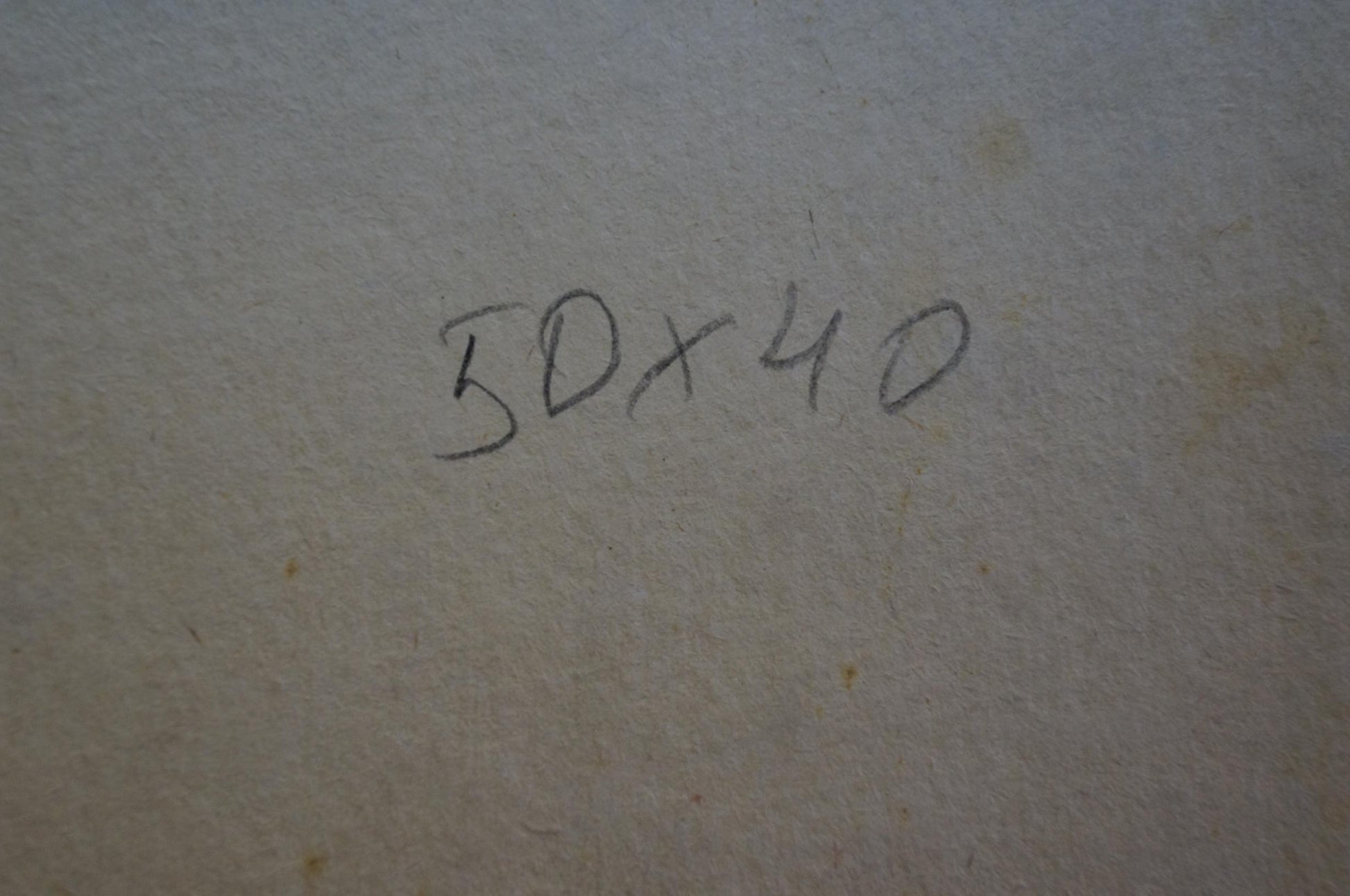 Back of Zhabinsky Leonid Andreevich grandmother portrait: handwritten 30x40 on textured paper