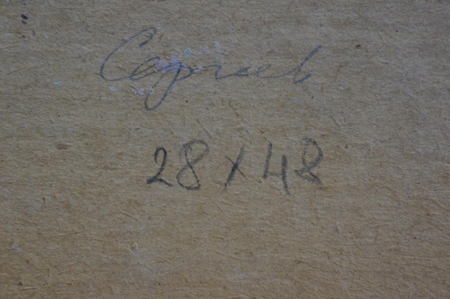 Back of Oil painting Apples on the table by Sergeev N. S. with signature and dimensions on beige canvas