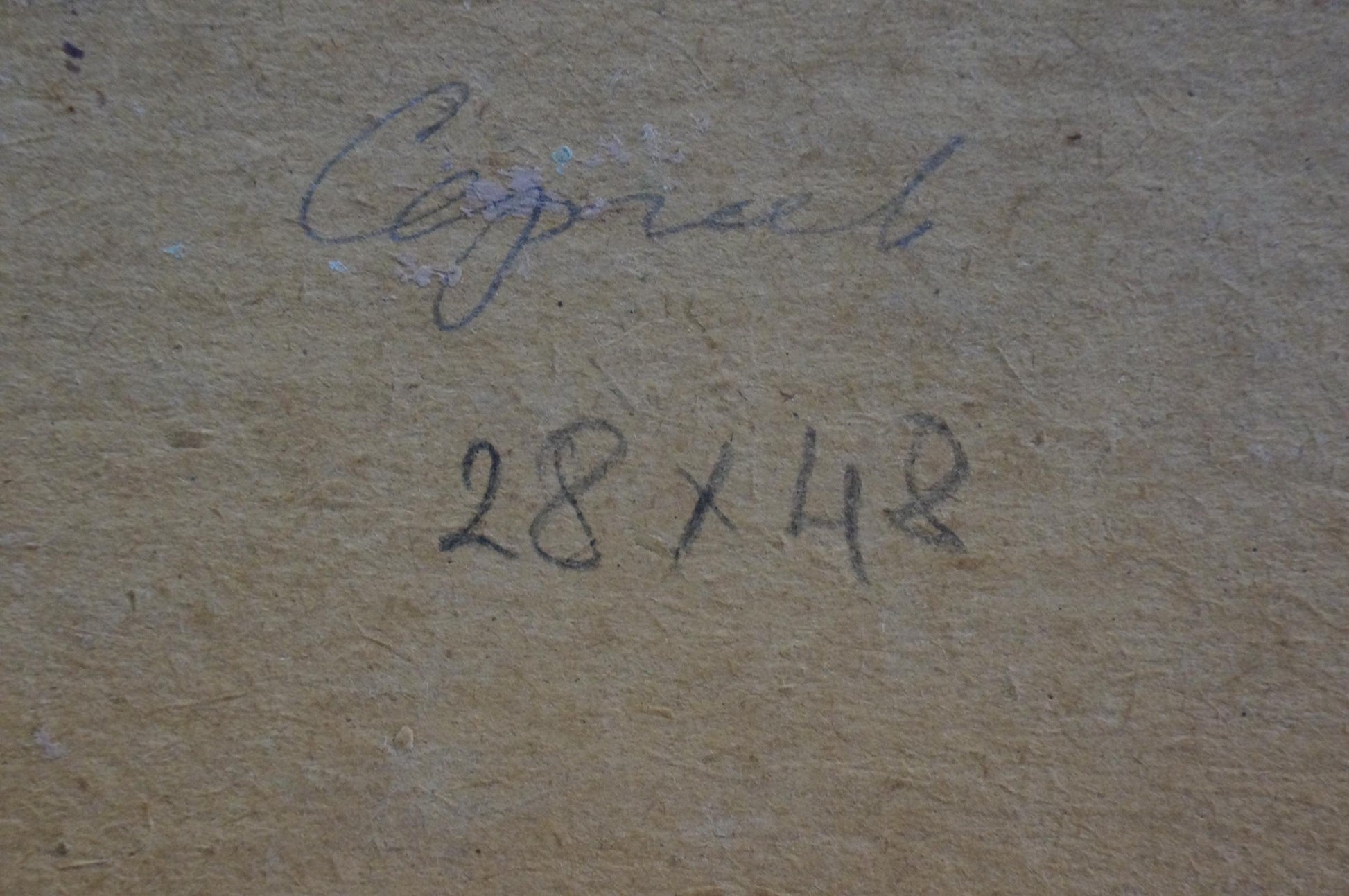 Back of Oil painting Apples on the table by Sergeev N. S. with signature and dimensions on beige canvas