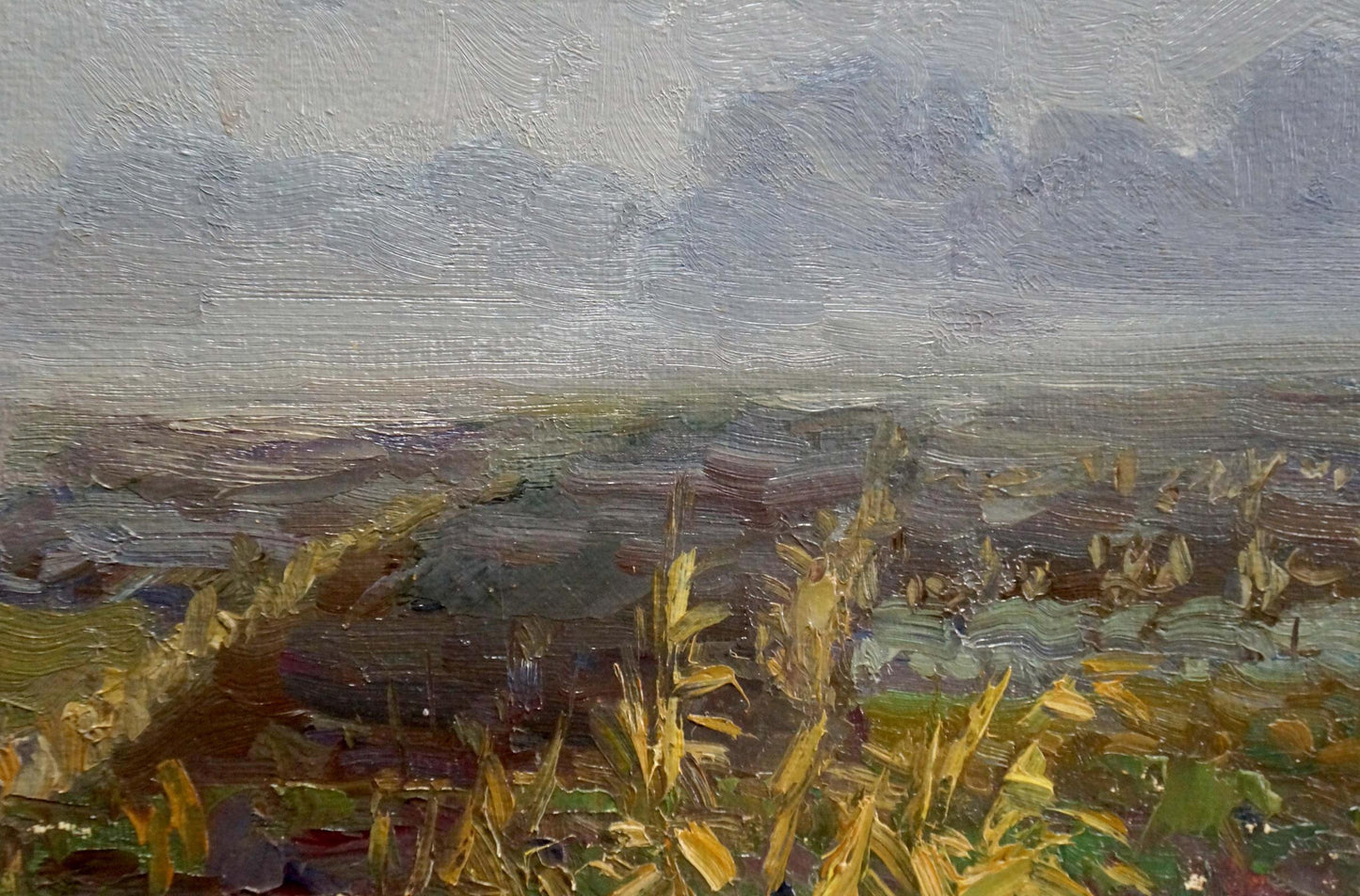 Oil painting Fog by Mordovets Andrey Nikitich: misty landscape with golden grasses