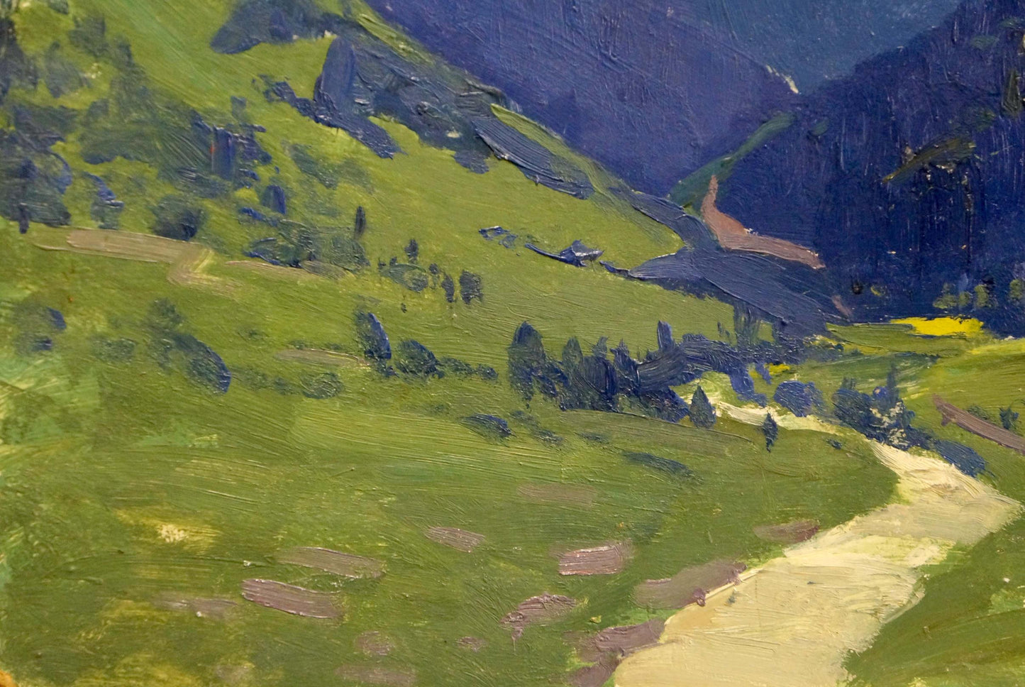 Vibrant impressionist oil painting of mountain valley by Kushnir Veniamin Vladimirovich