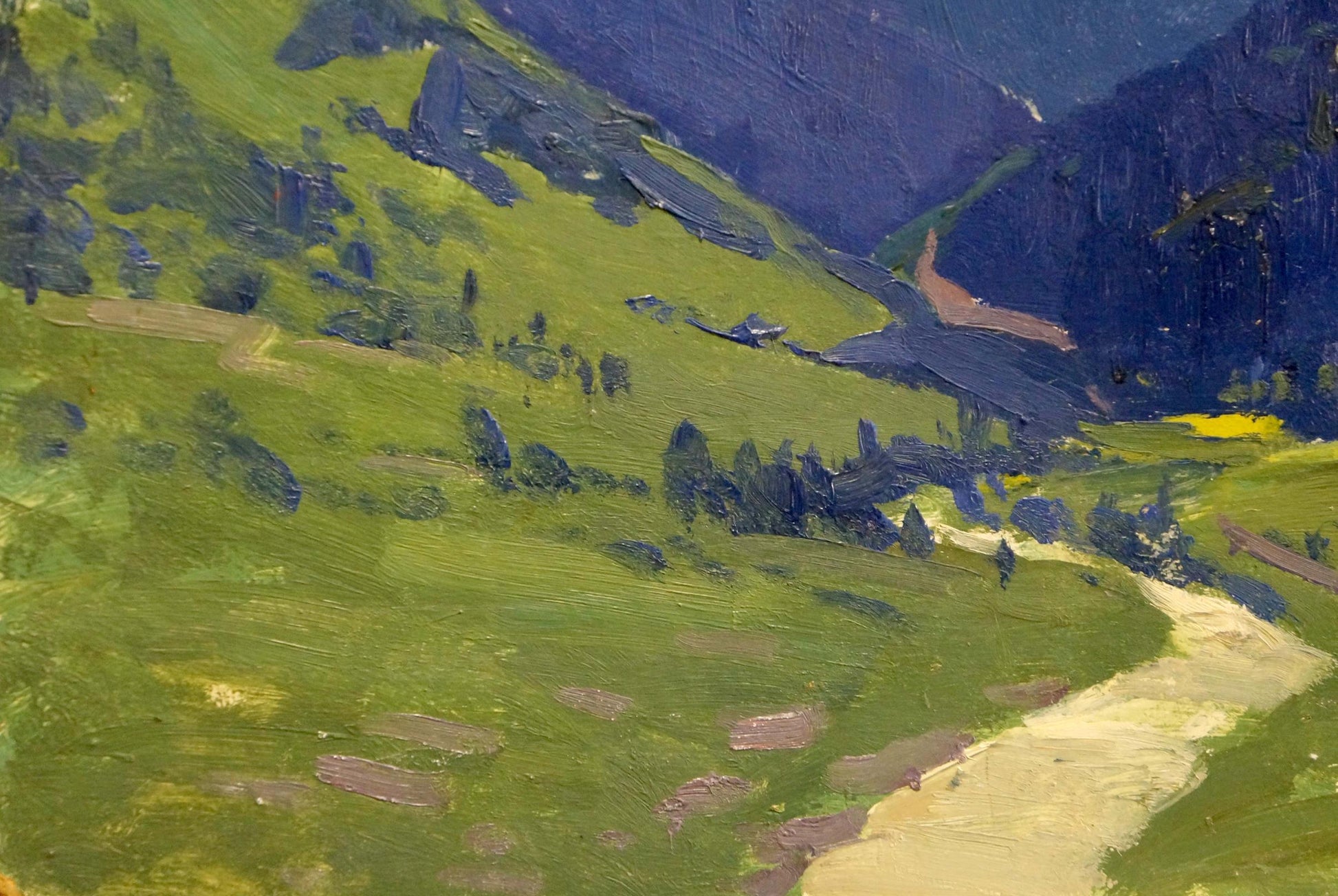 Vibrant impressionist oil painting of mountain valley by Kushnir Veniamin Vladimirovich