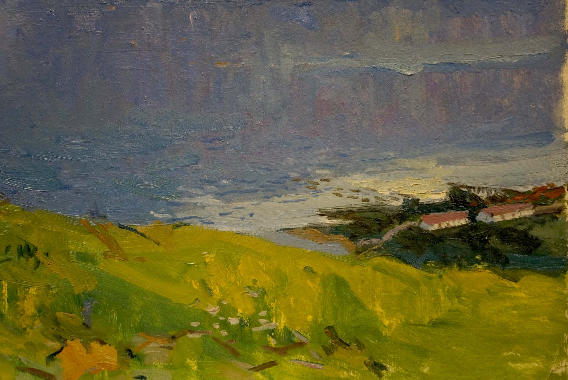 Oil painting by Egorov Boris Kuzmich: vibrant yellow-green field, moody sky, sea views