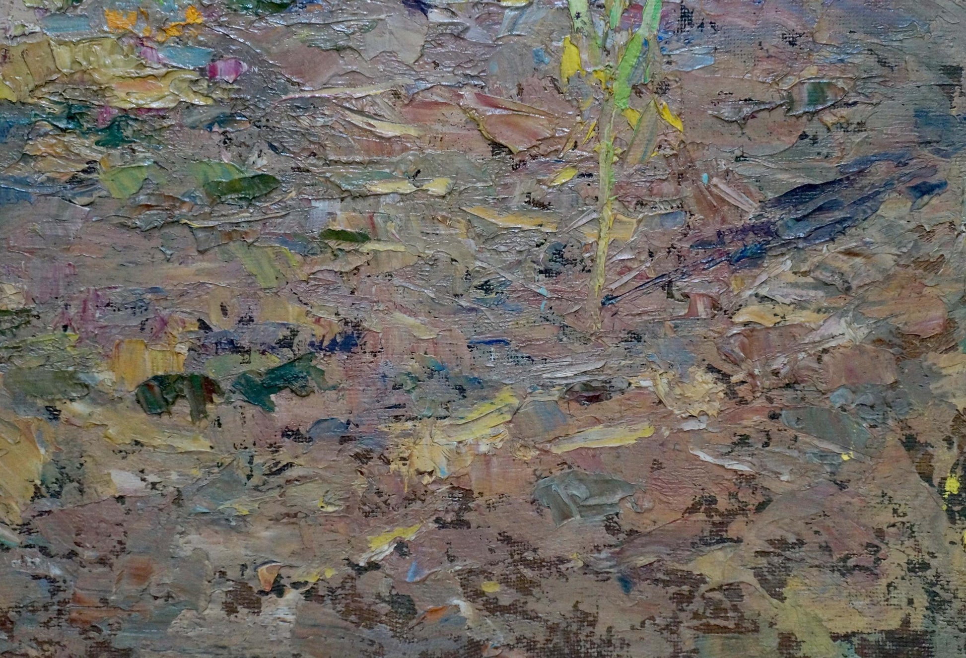 Oil painting Garden by Sheludko Leonid Nikolaevich: textured patchy field