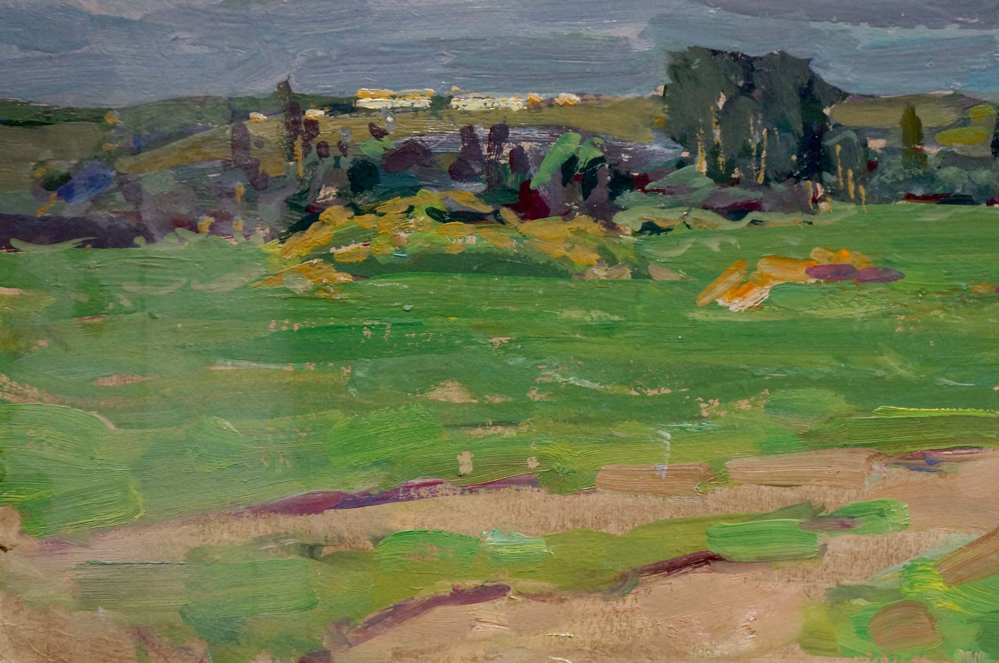 Vibrant impressionist oil painting by Fomin Anatoly Nikiforovich: summer landscape with green fields under moody sky
