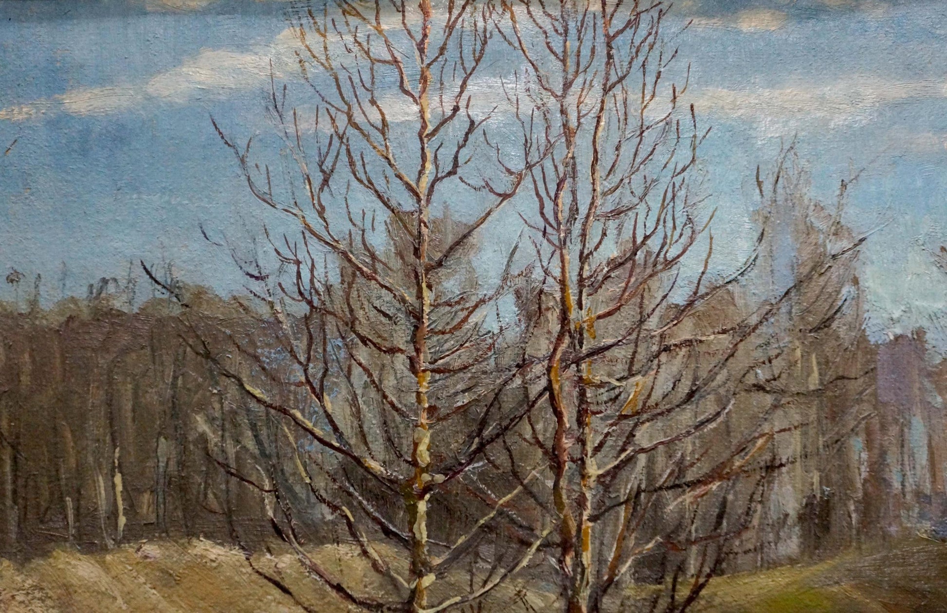 Oil painting End of Winter by Gorobets Pavel Matveevich: bare birch trees against blue sky