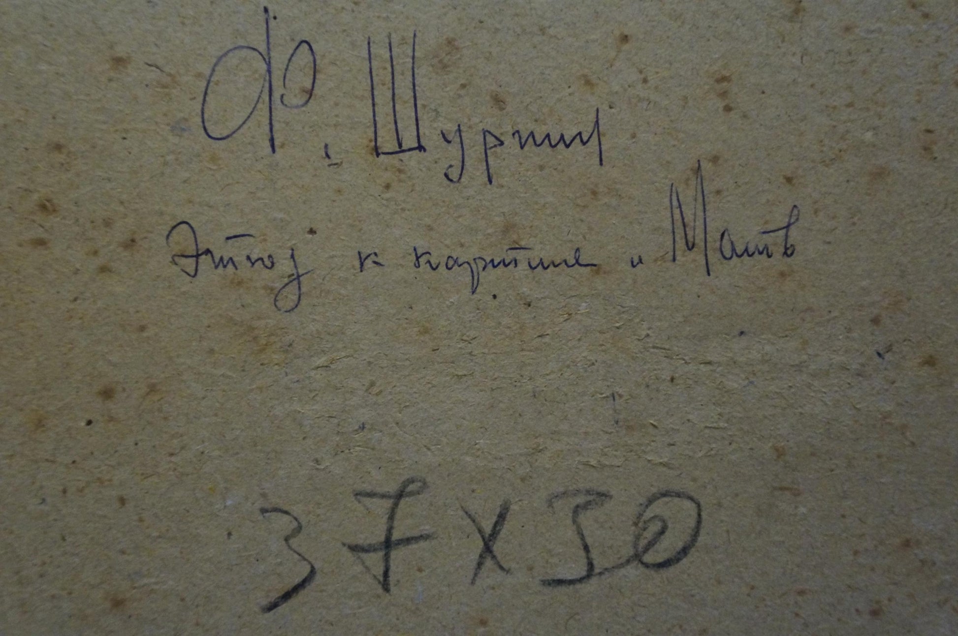 Back of Shurpin F.S. oil painting portrait with handwritten inscription on beige surface