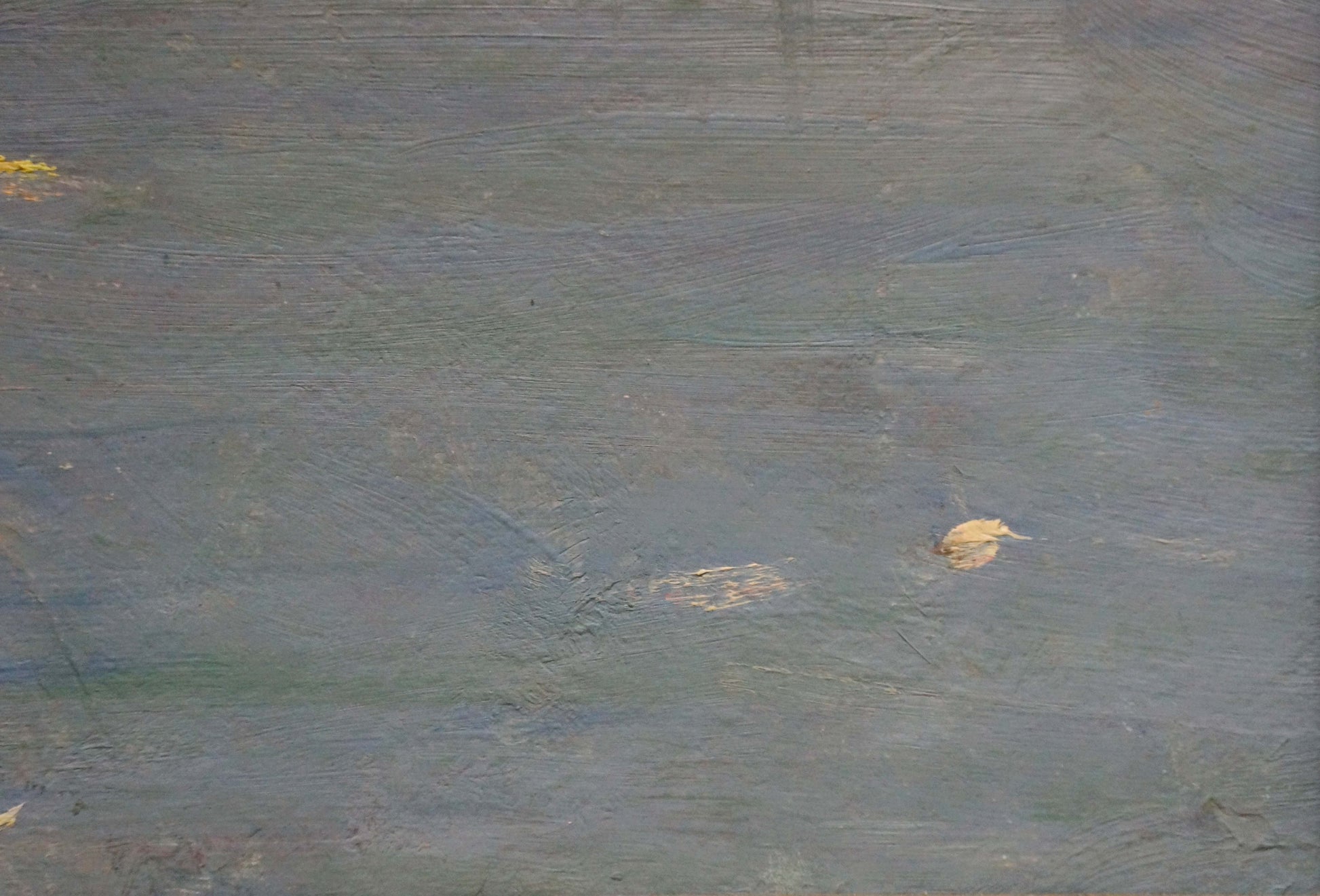 Textured grayish-blue painted back of oil painting Sunset over the sea with dry leaf